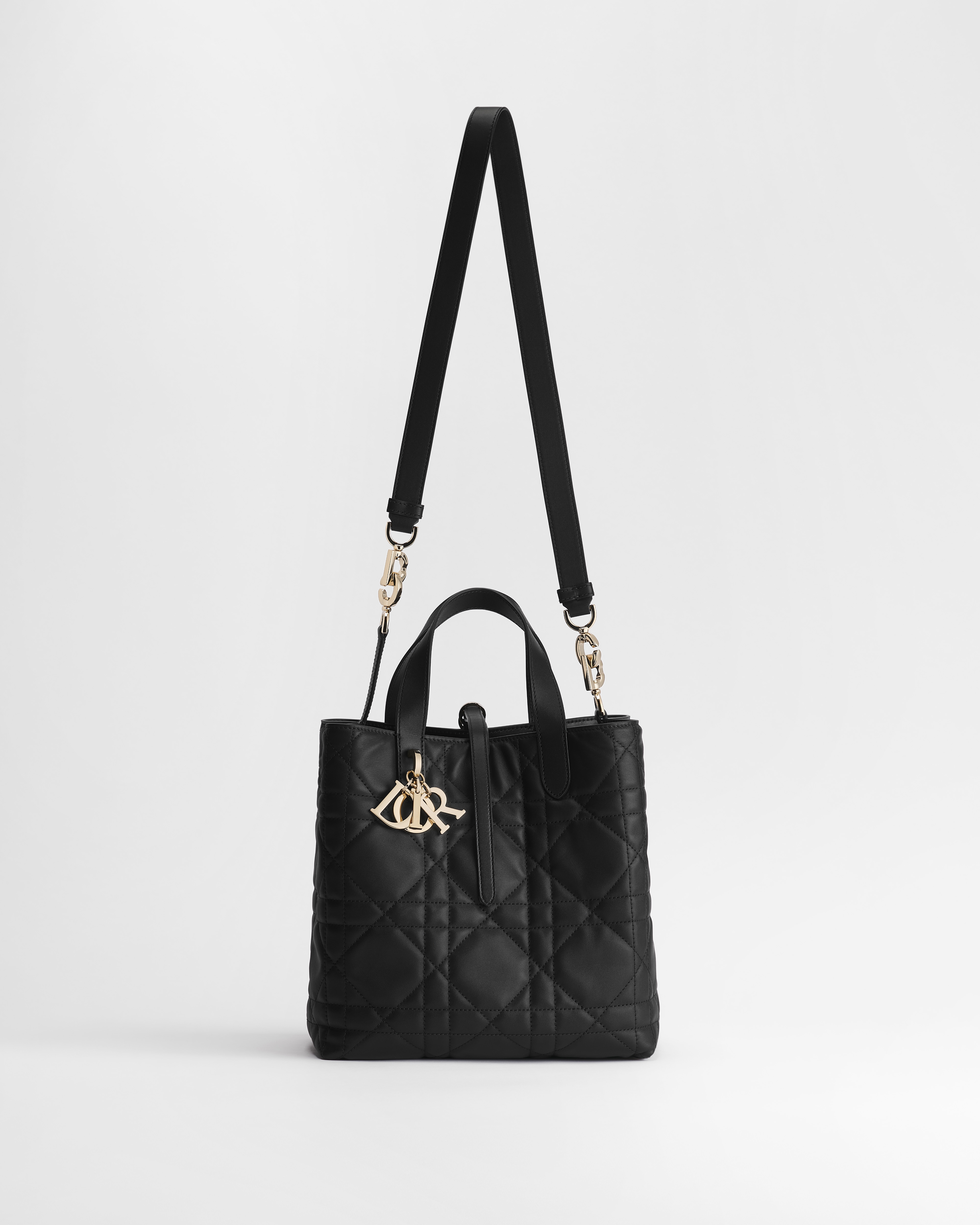 Medium Dior Toujours Vertical Tote Bag