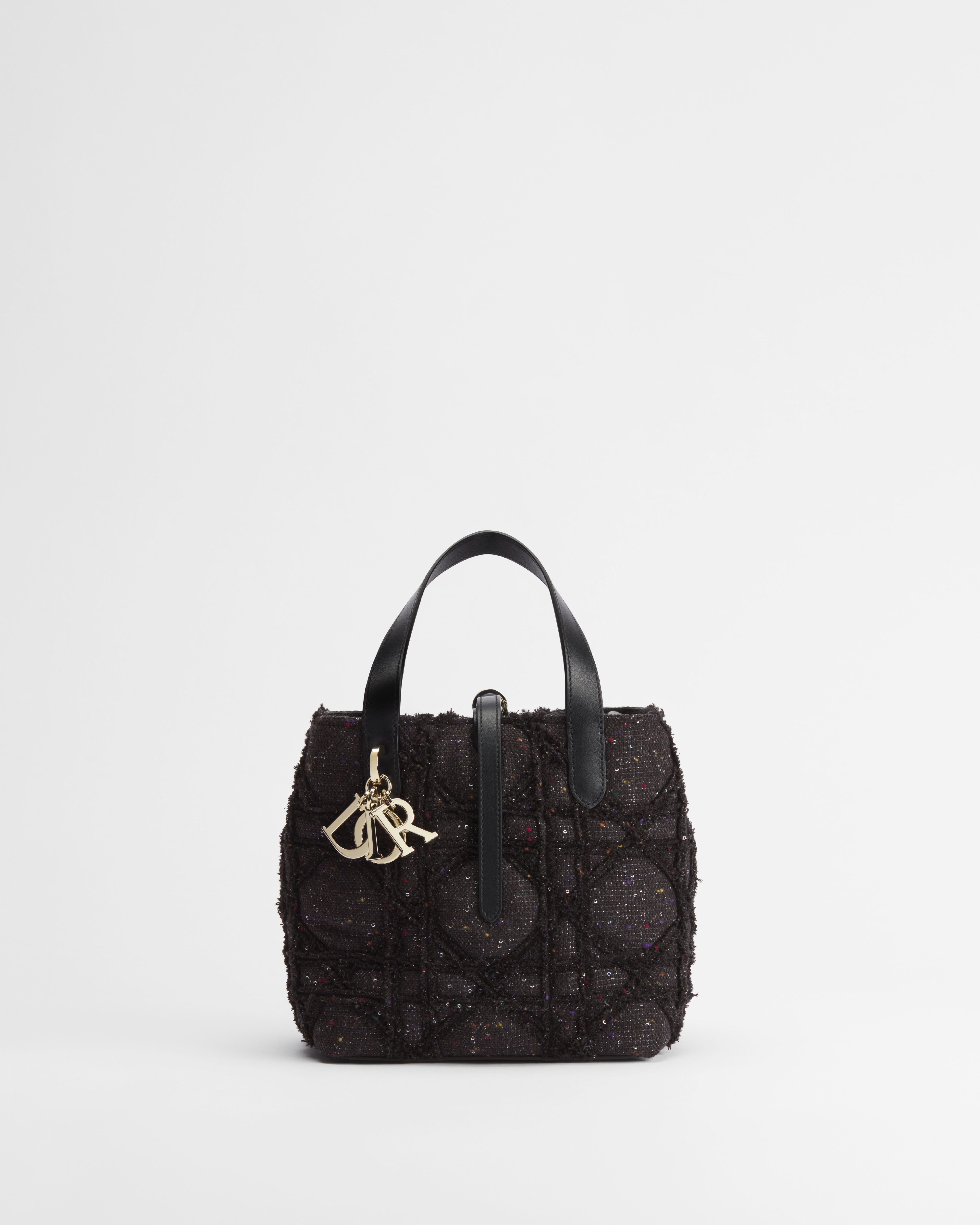 Small Dior Toujours Vertical Tote Bag