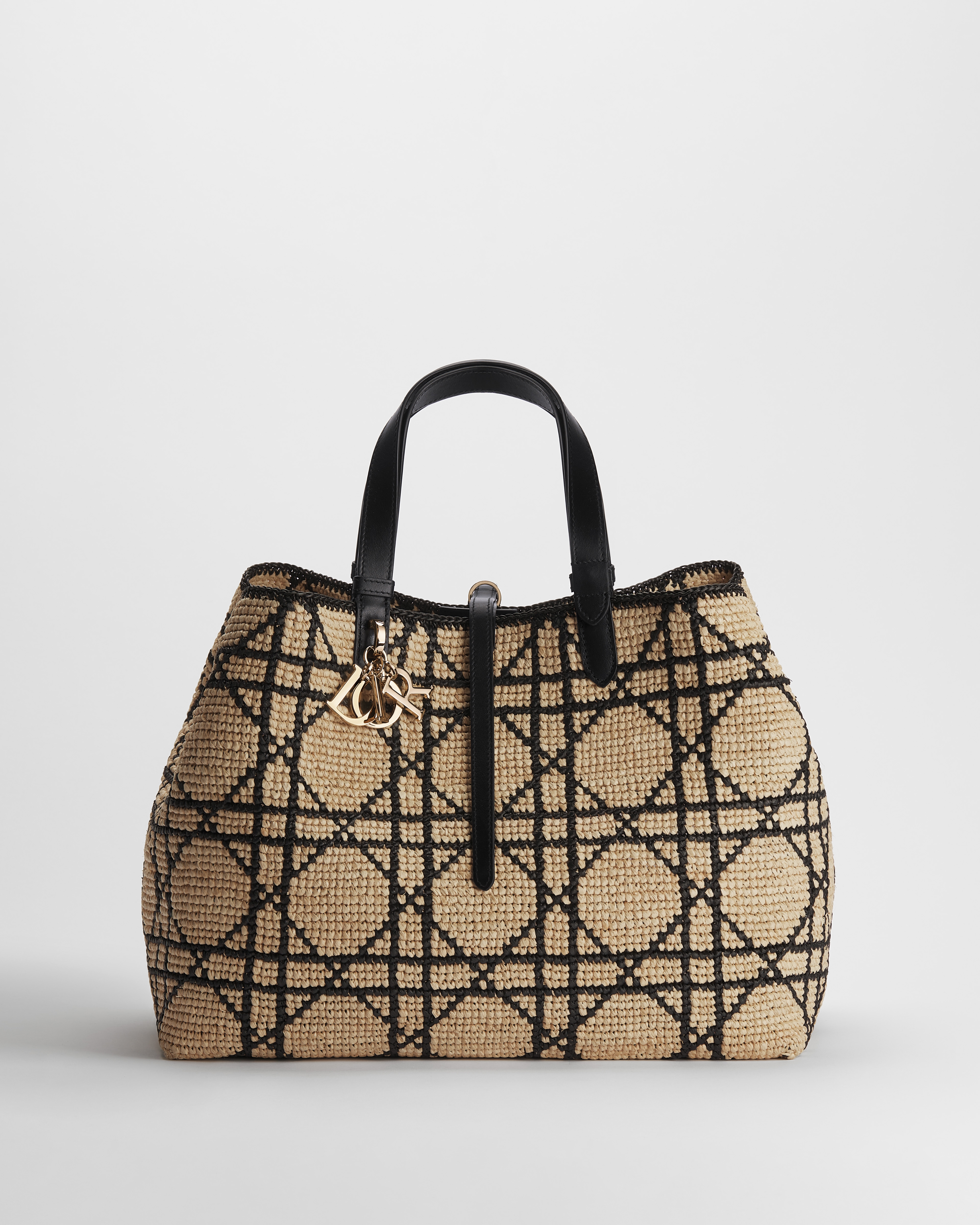 Large Dior Toujours Bag