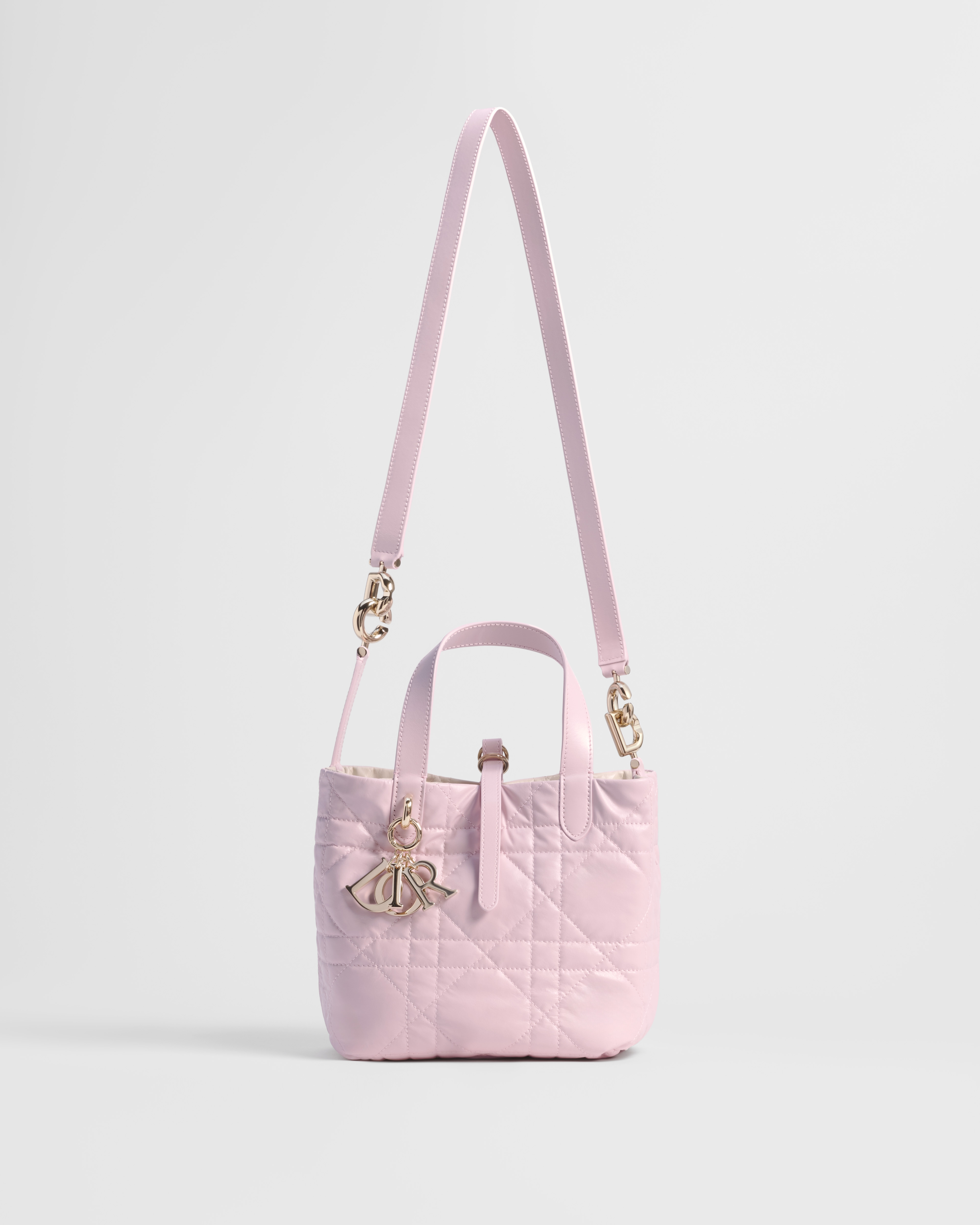 Small Dior Toujours Reversible Vertical Tote Bag