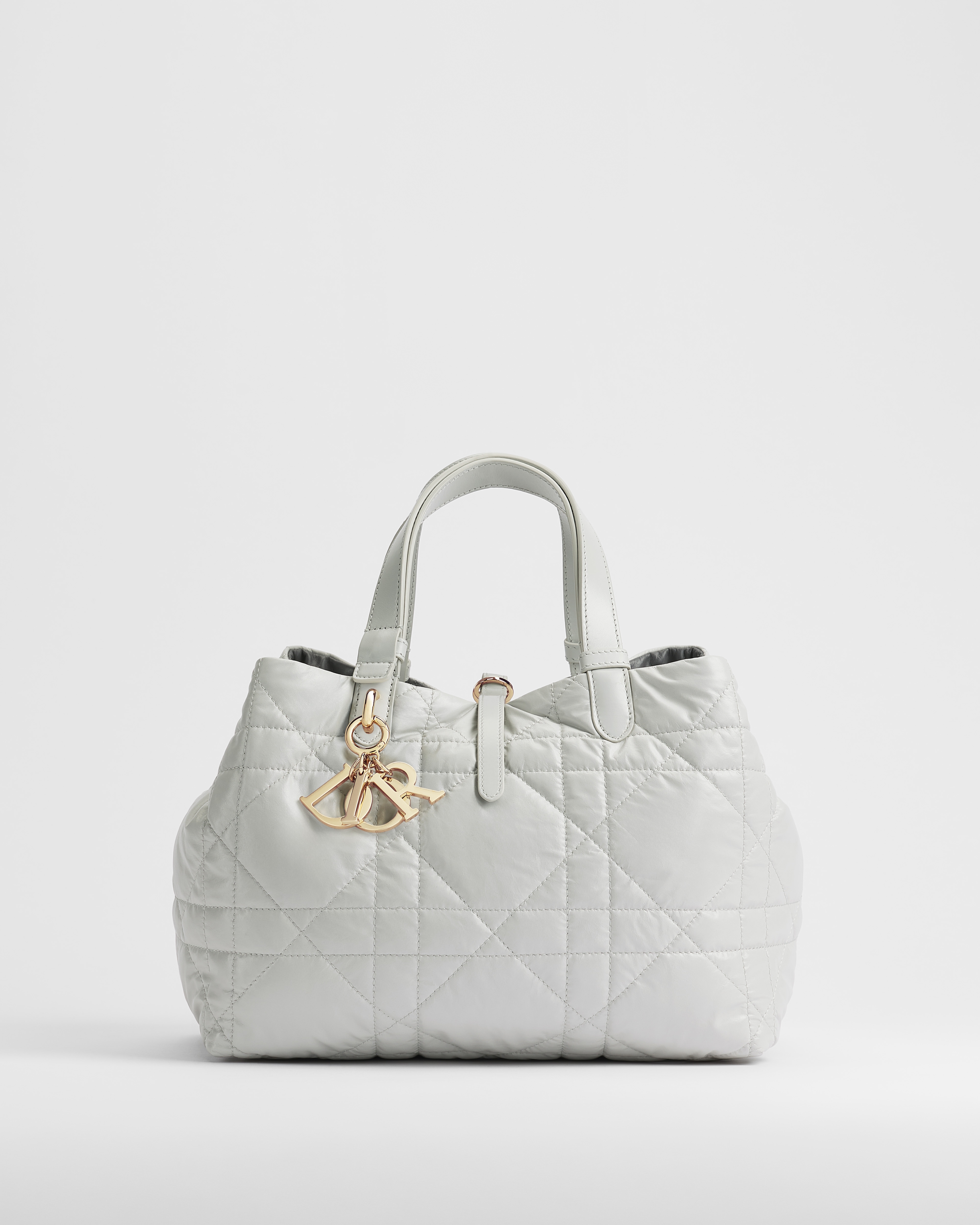 Dior Toujours リバーシブル バッグ ミディアム マクロカナージュ カーフスキン E01