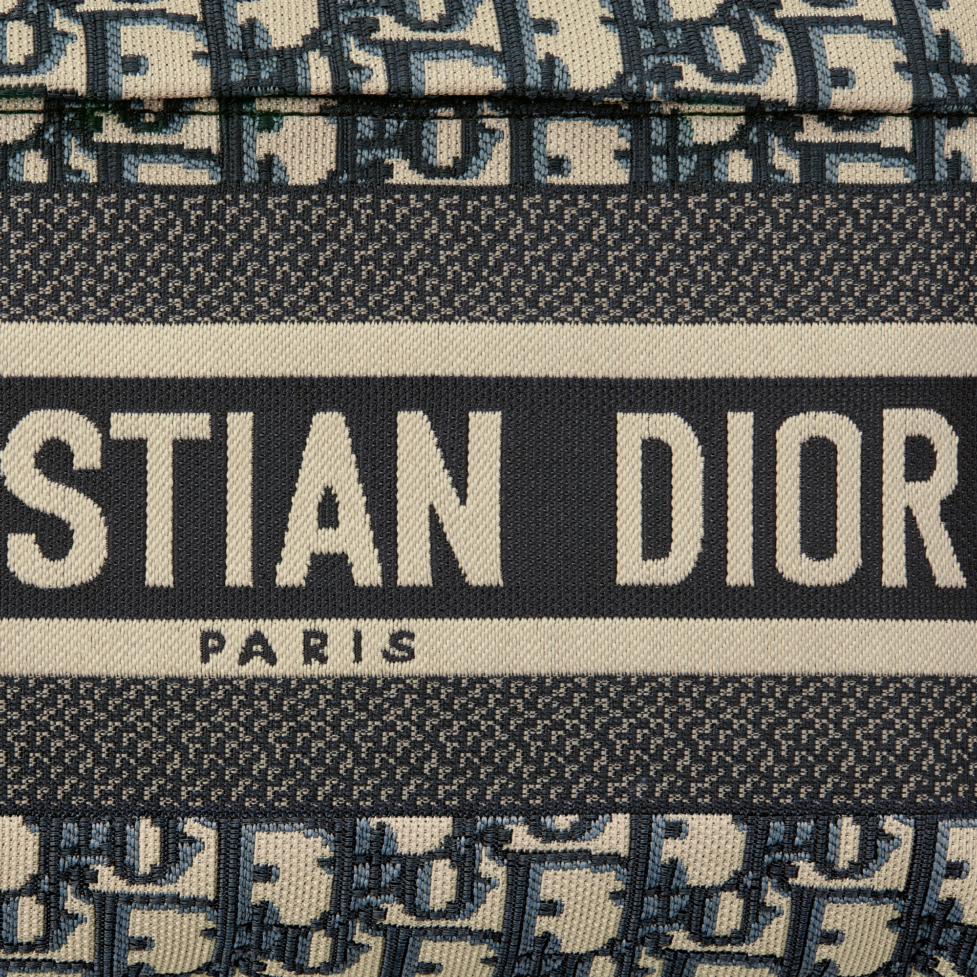 DiorTravel Rucksack Dior Oblique Jacquard in Blau E09