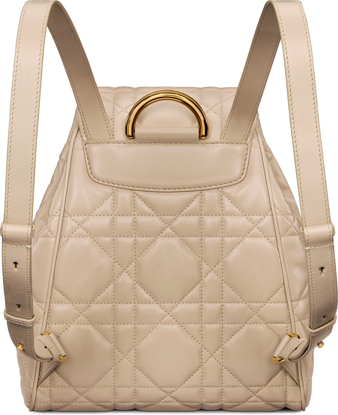 Medium Dior Caro Backpack Back view