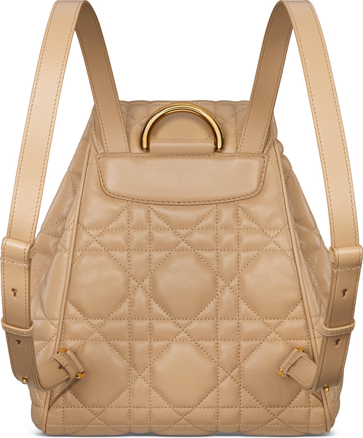 Dior stardust backpack outlet