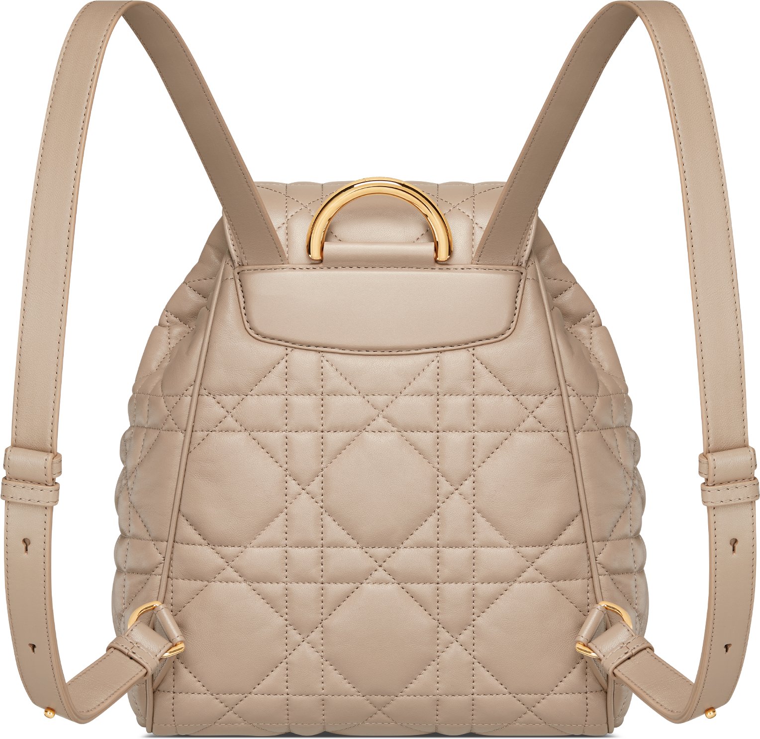 Medium Dior Caro Backpack Back view