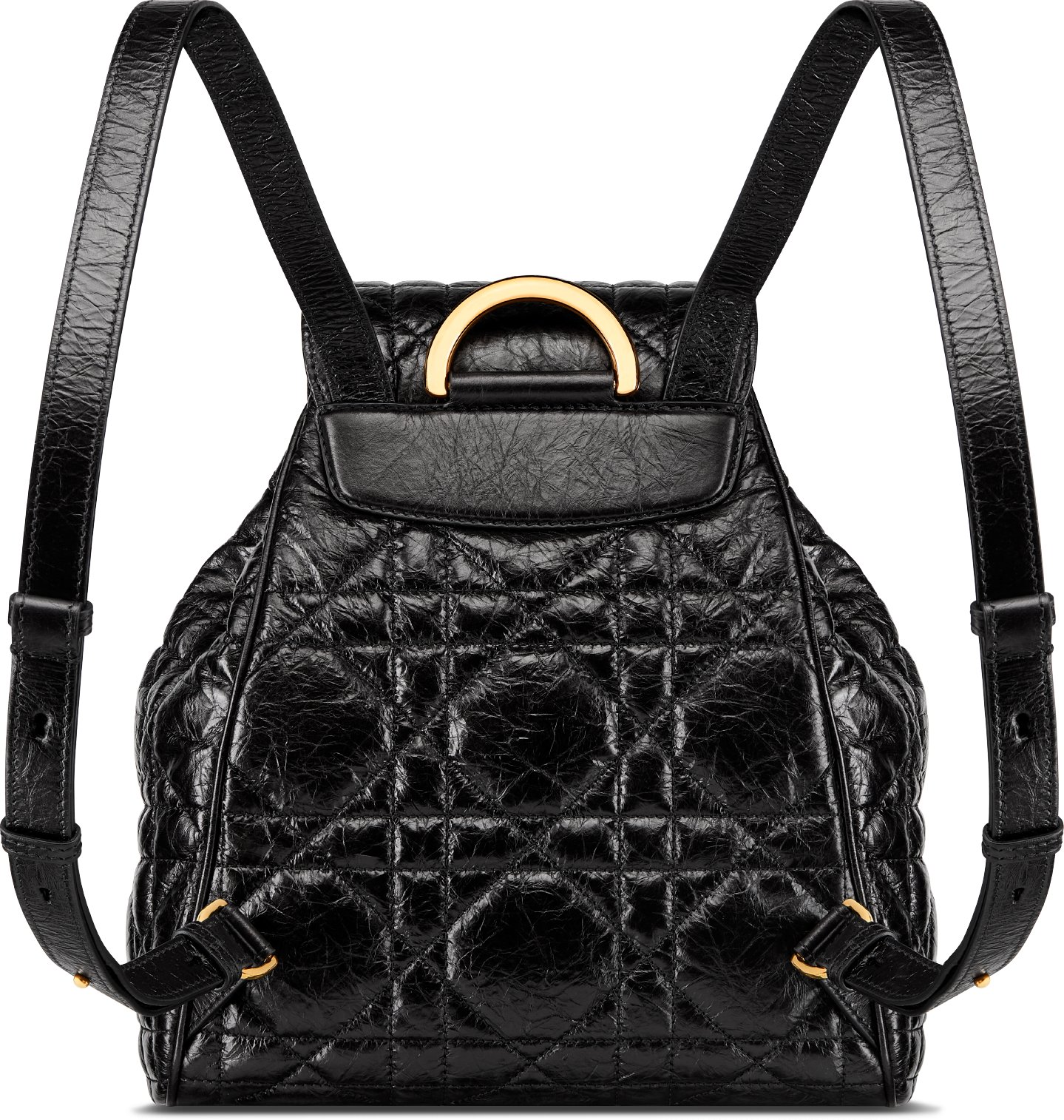 Medium Dior Caro Backpack Back view