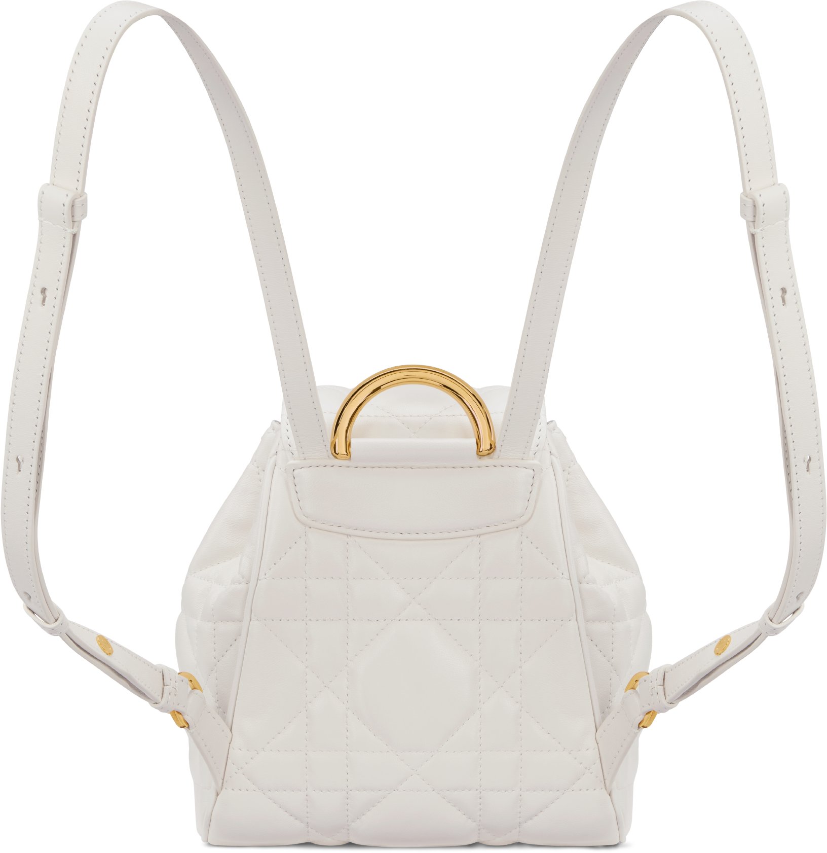 Small Dior Caro Backpack Back view