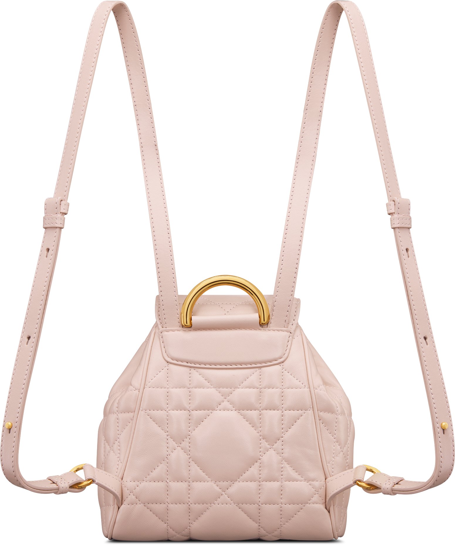 Small Dior Caro Backpack Back view