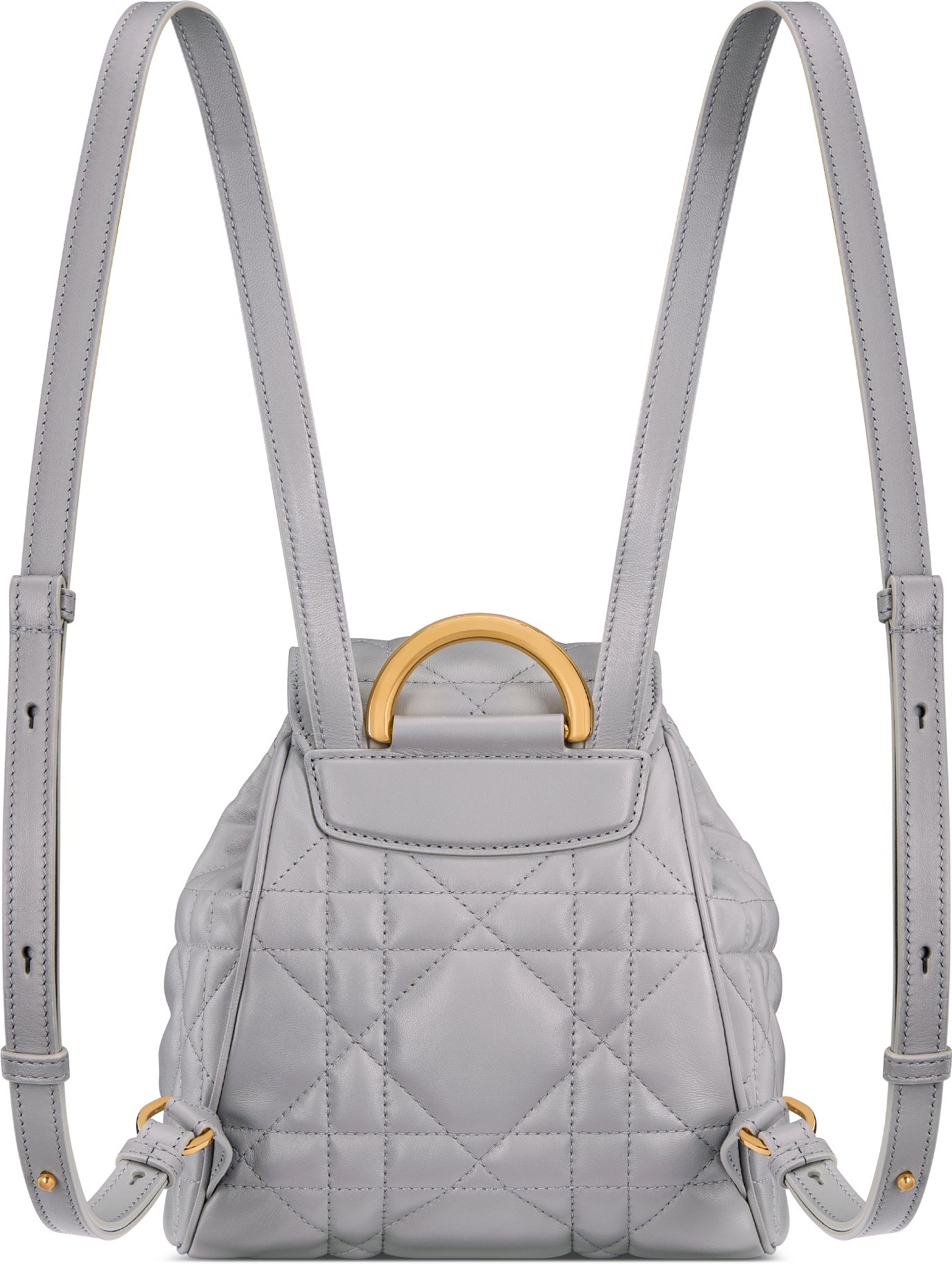 小碼 Dior Caro 背囊 aria_backView