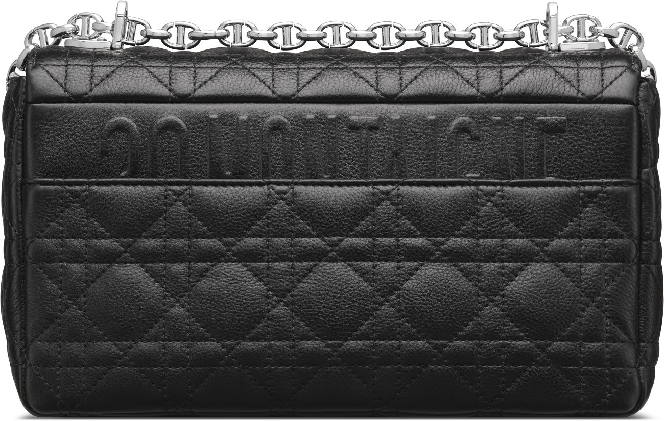 Borsa media Dior Caro aria_backView