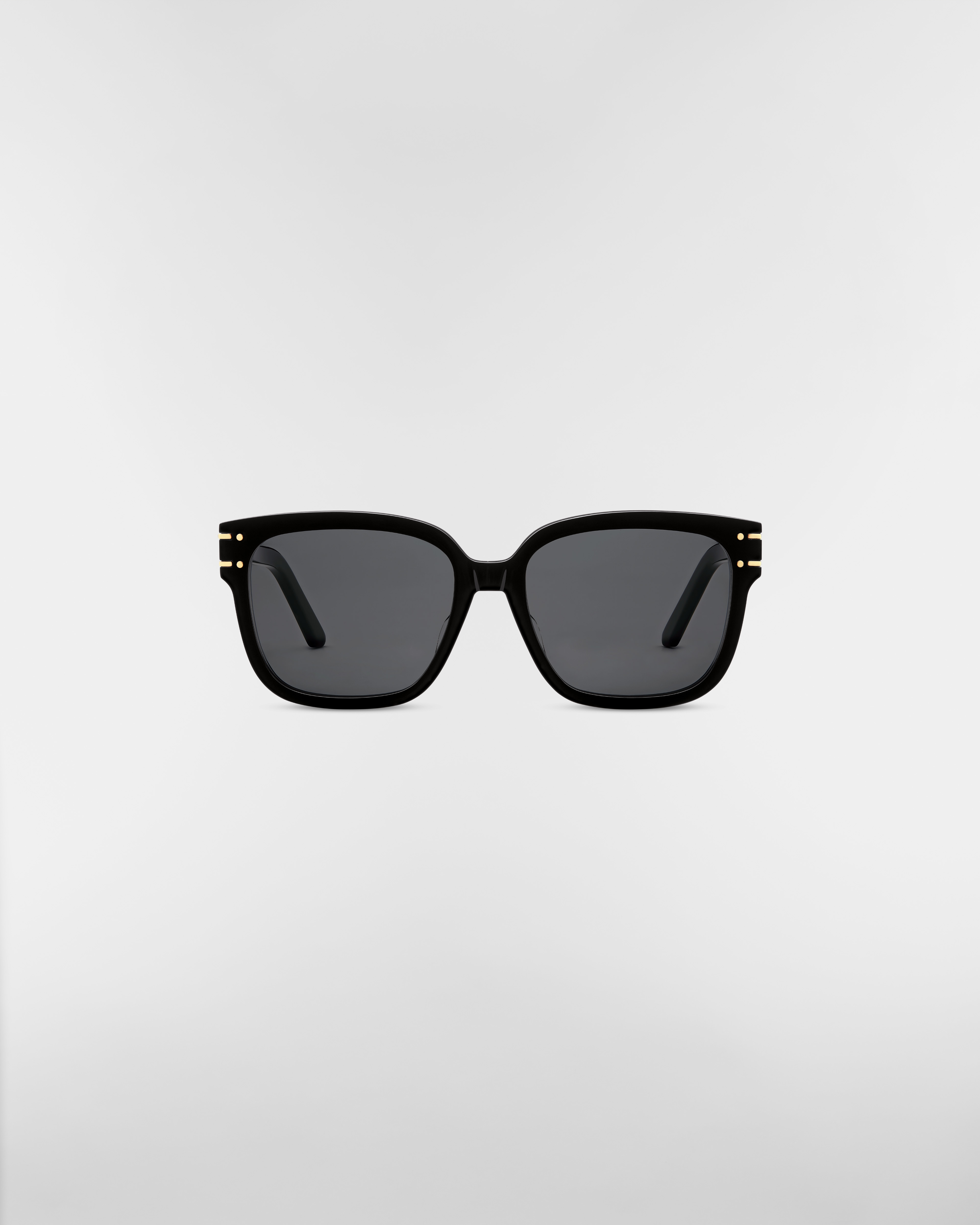 DiorSignature サングラス スクエア E01