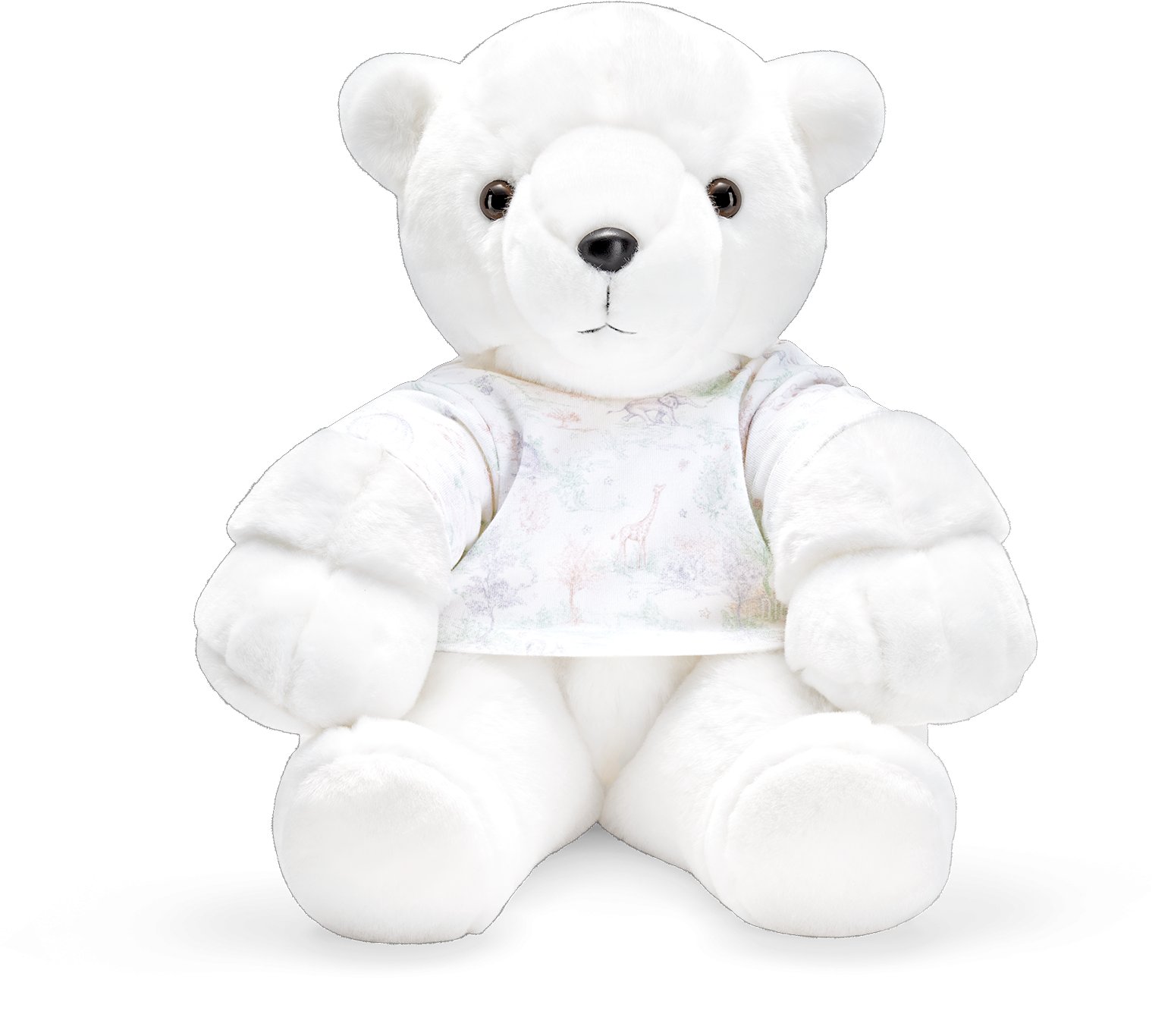 Teddy Bear Front view