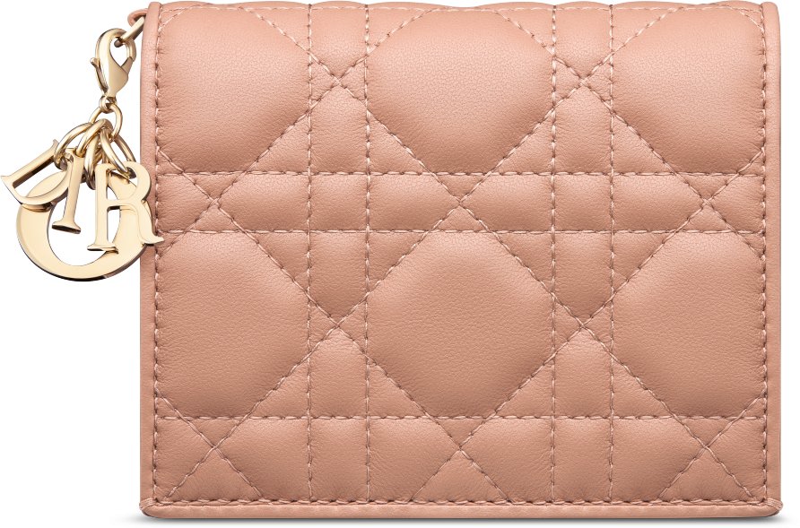 Portafoglio mini Gardenia Lady Dior aria_frontView