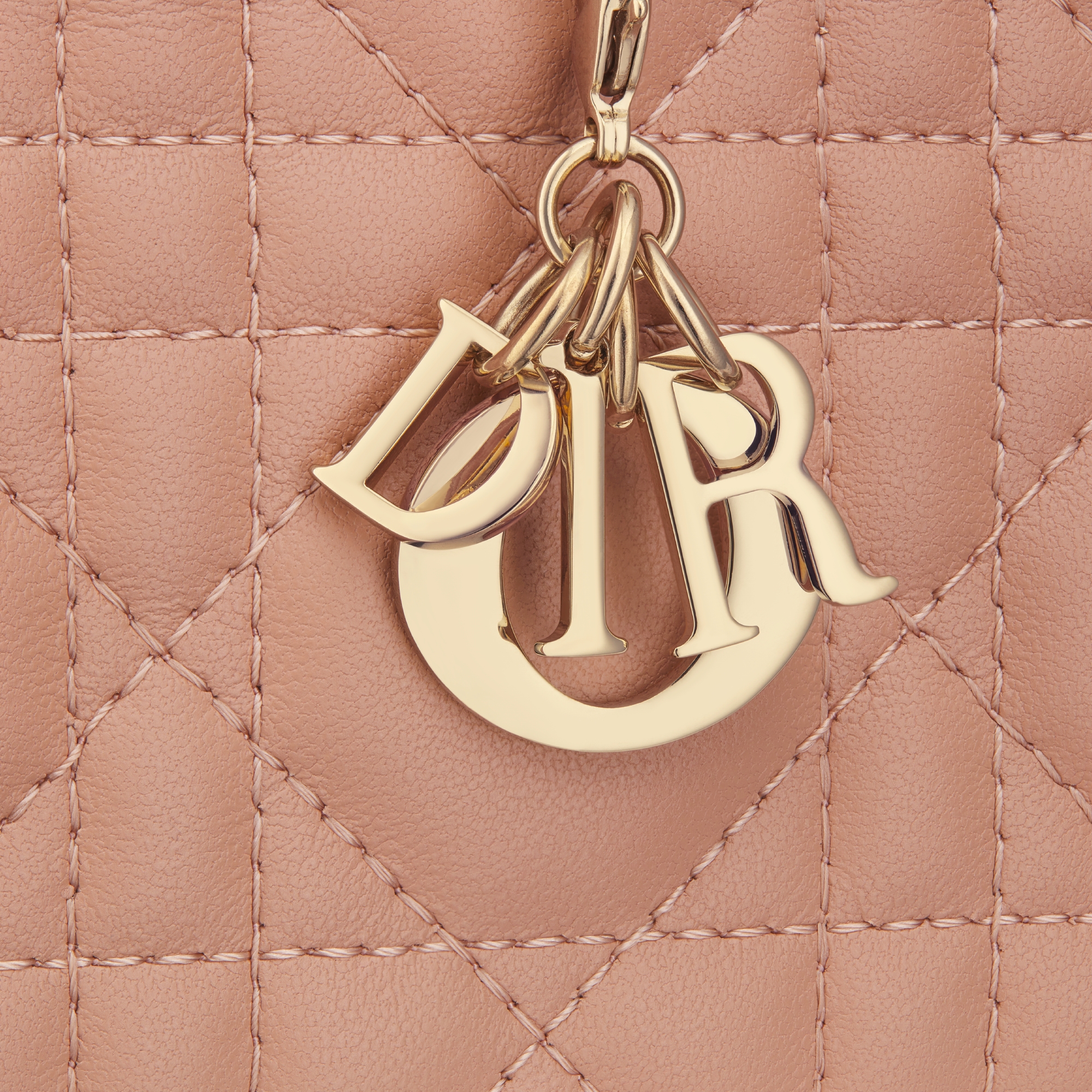 Mini Lady Dior Gardenia Wallet