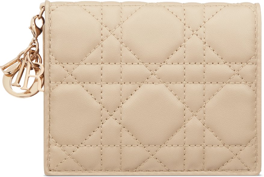 Portafoglio mini Gardenia Lady Dior aria_frontView