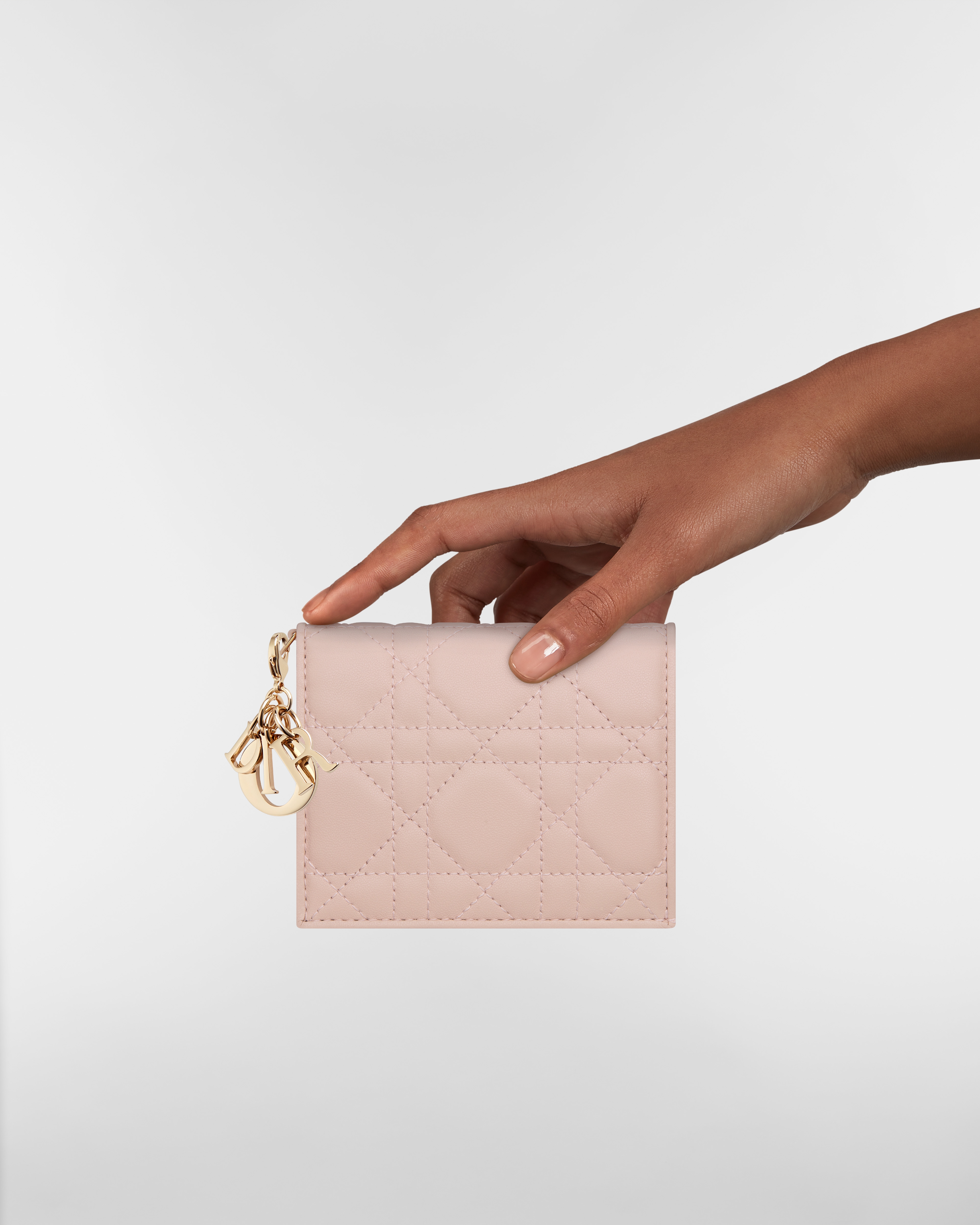 Mini Lady Dior Gardenia Wallet