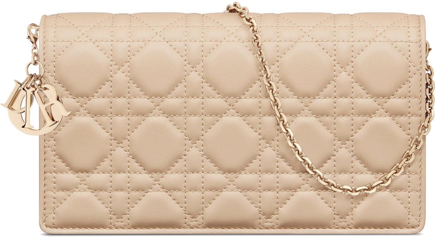 Lady Dior Pouch with Chain Front view