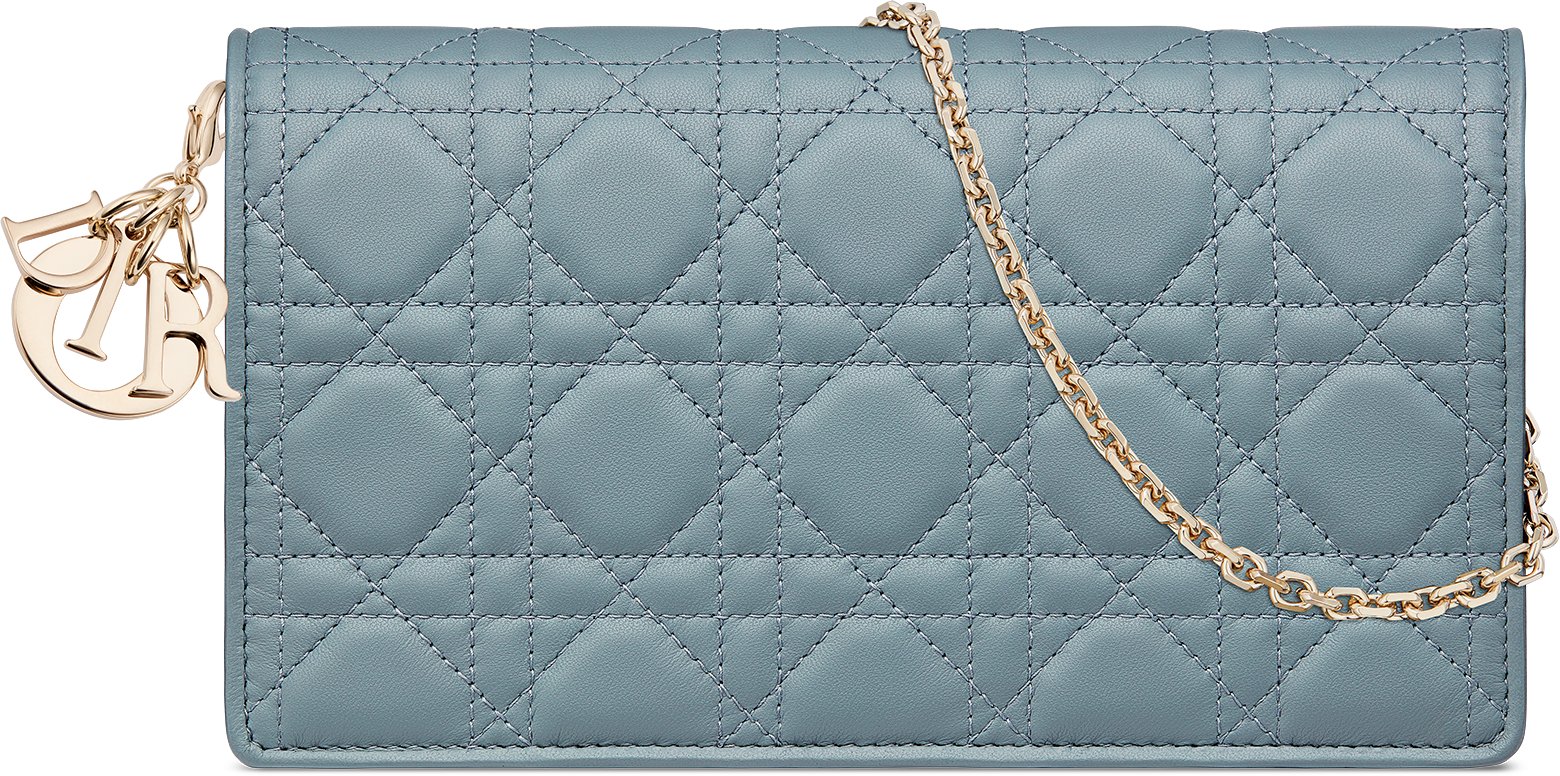 Miss dior wallet on chain best sale