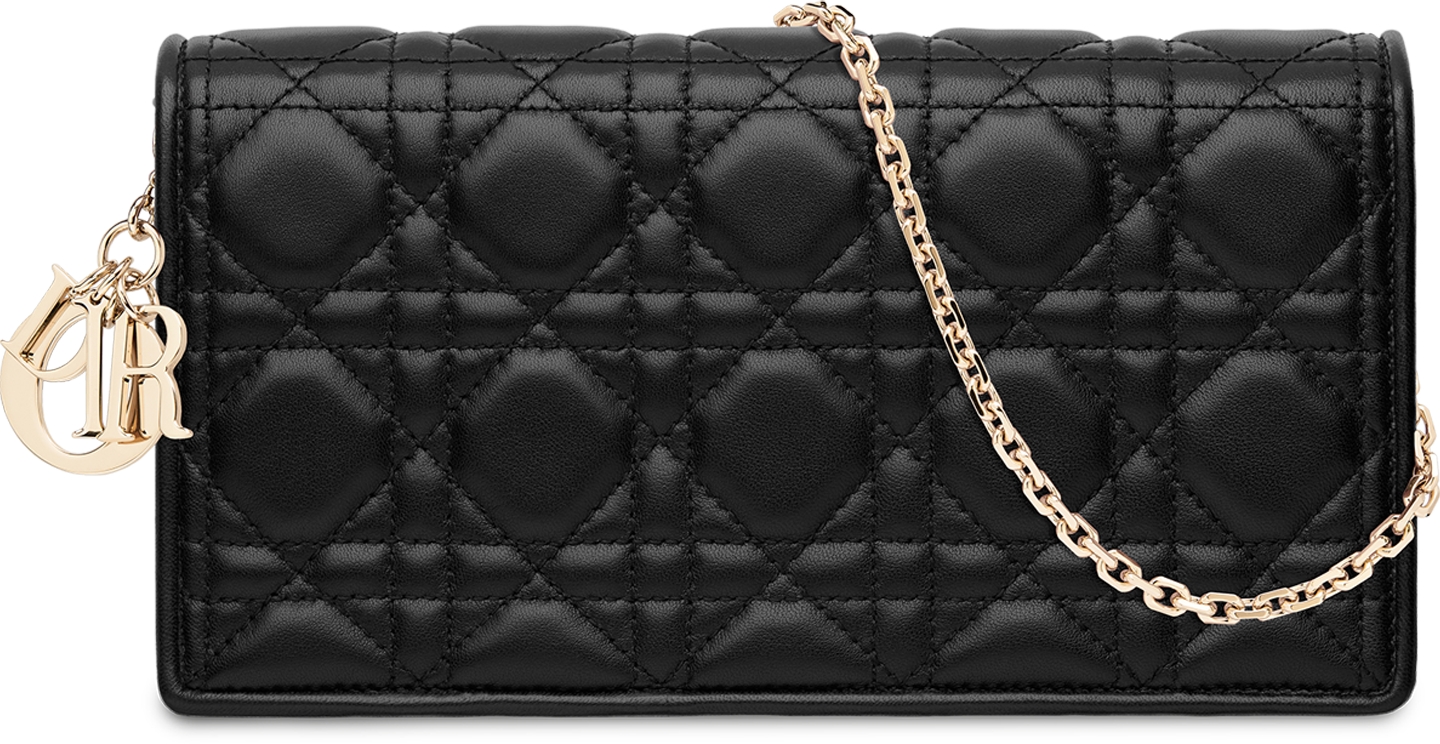 Dior wallet on chain hotsell