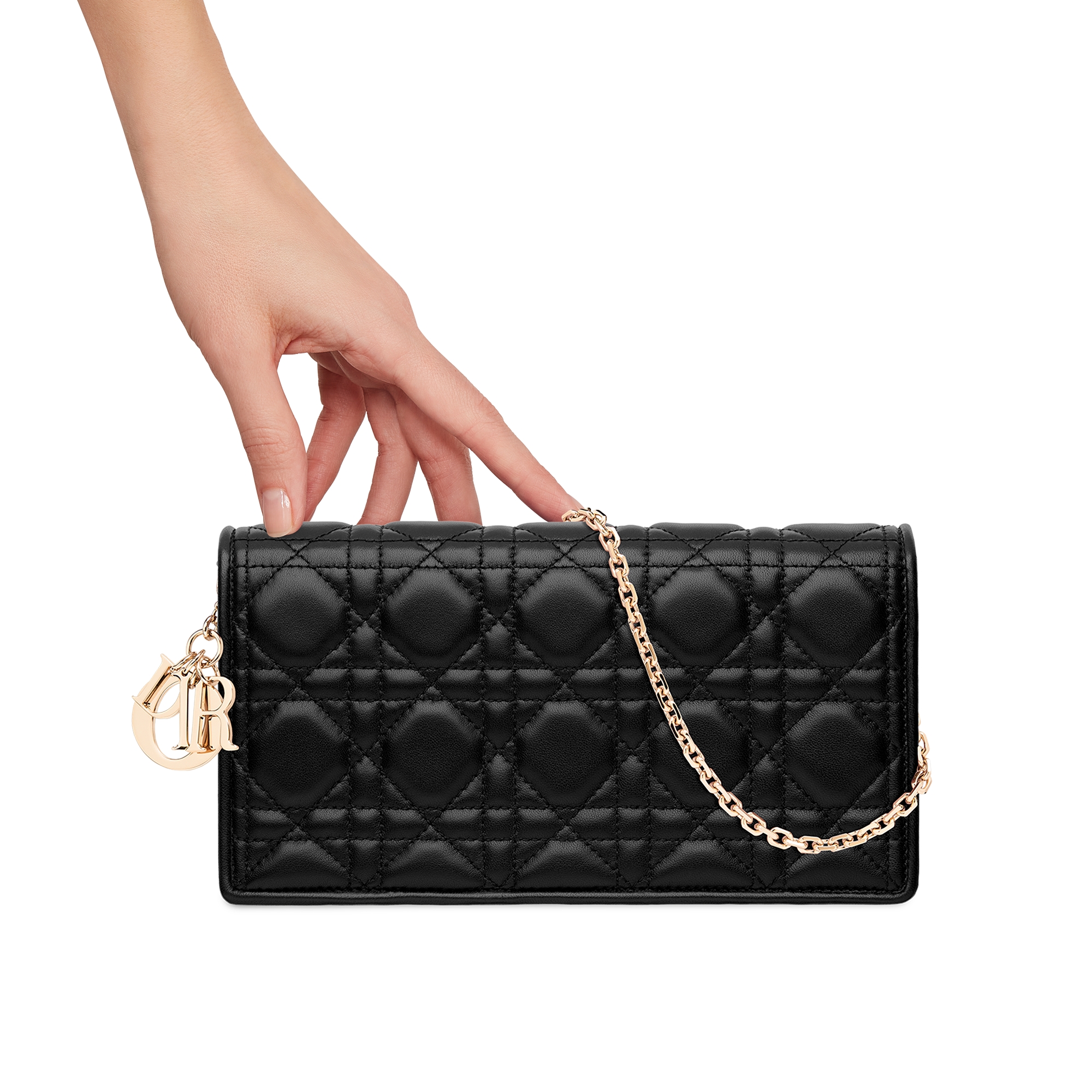 Lady Dior Pouch Black Cannage Lambskin E11