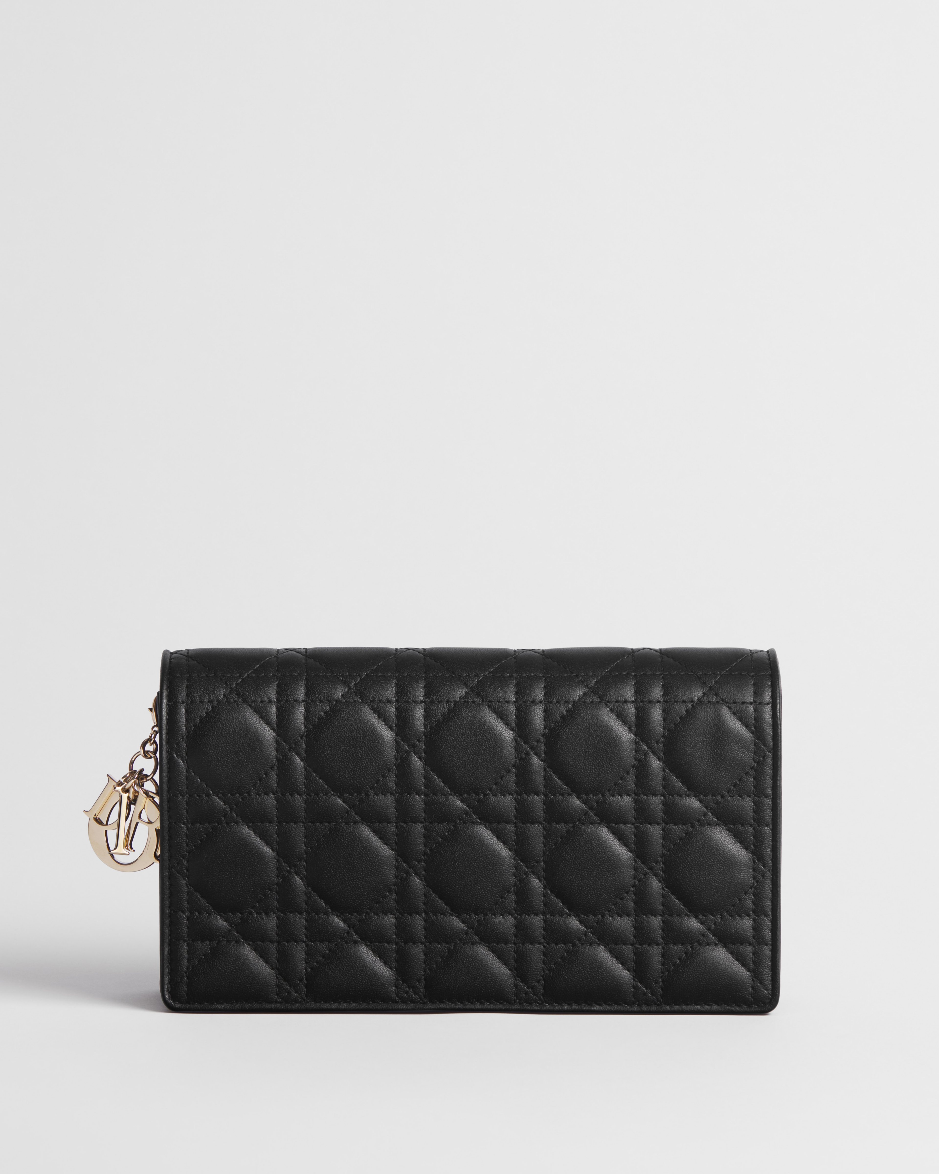 Lady Dior Pouch