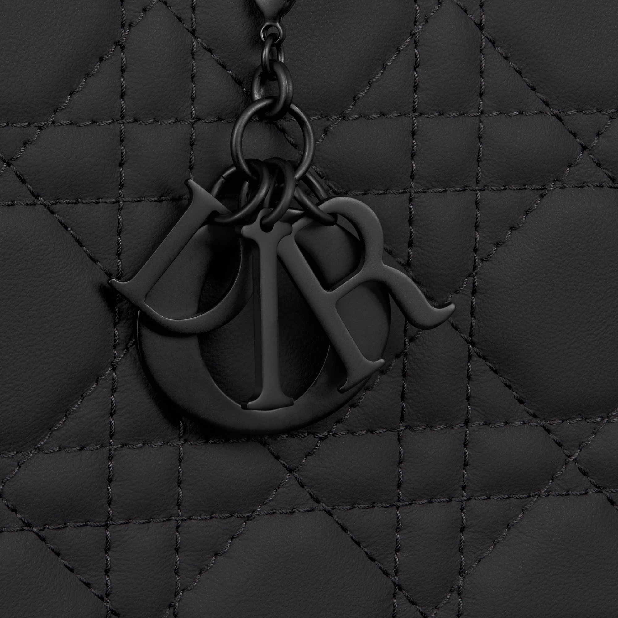 Lady Dior 小袋 aria_detailedView