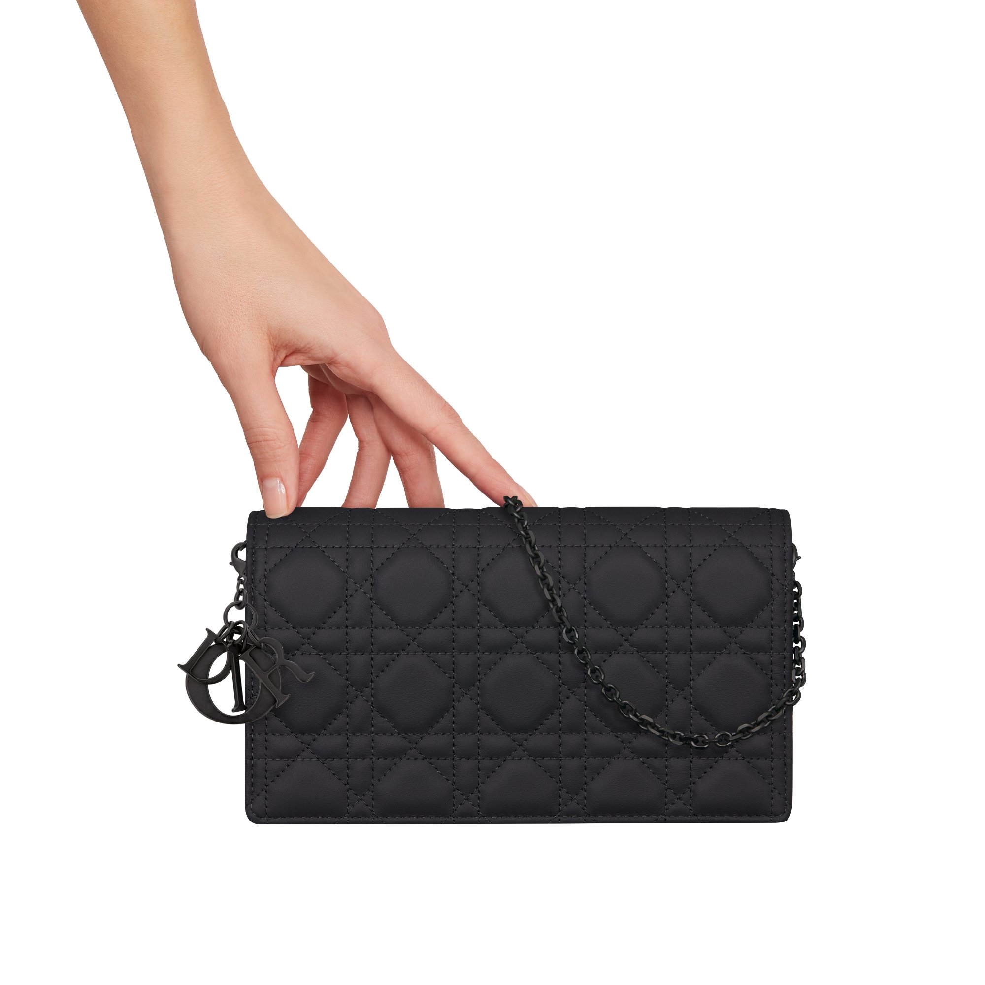 Lady Dior 小袋 aria_detailedView