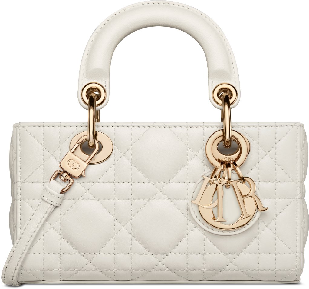 Micro lady dior sales