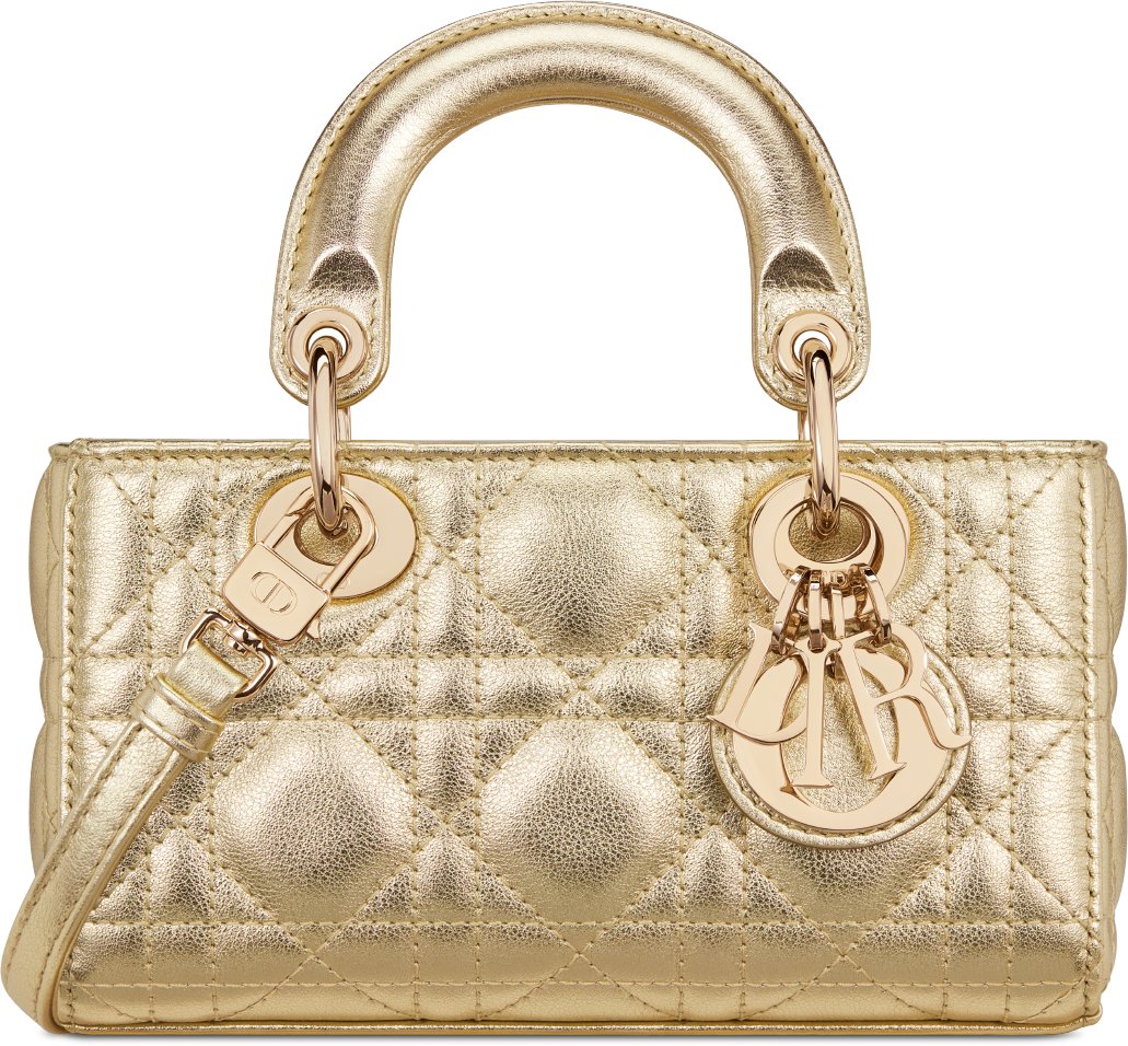 Iconic dior bags deals