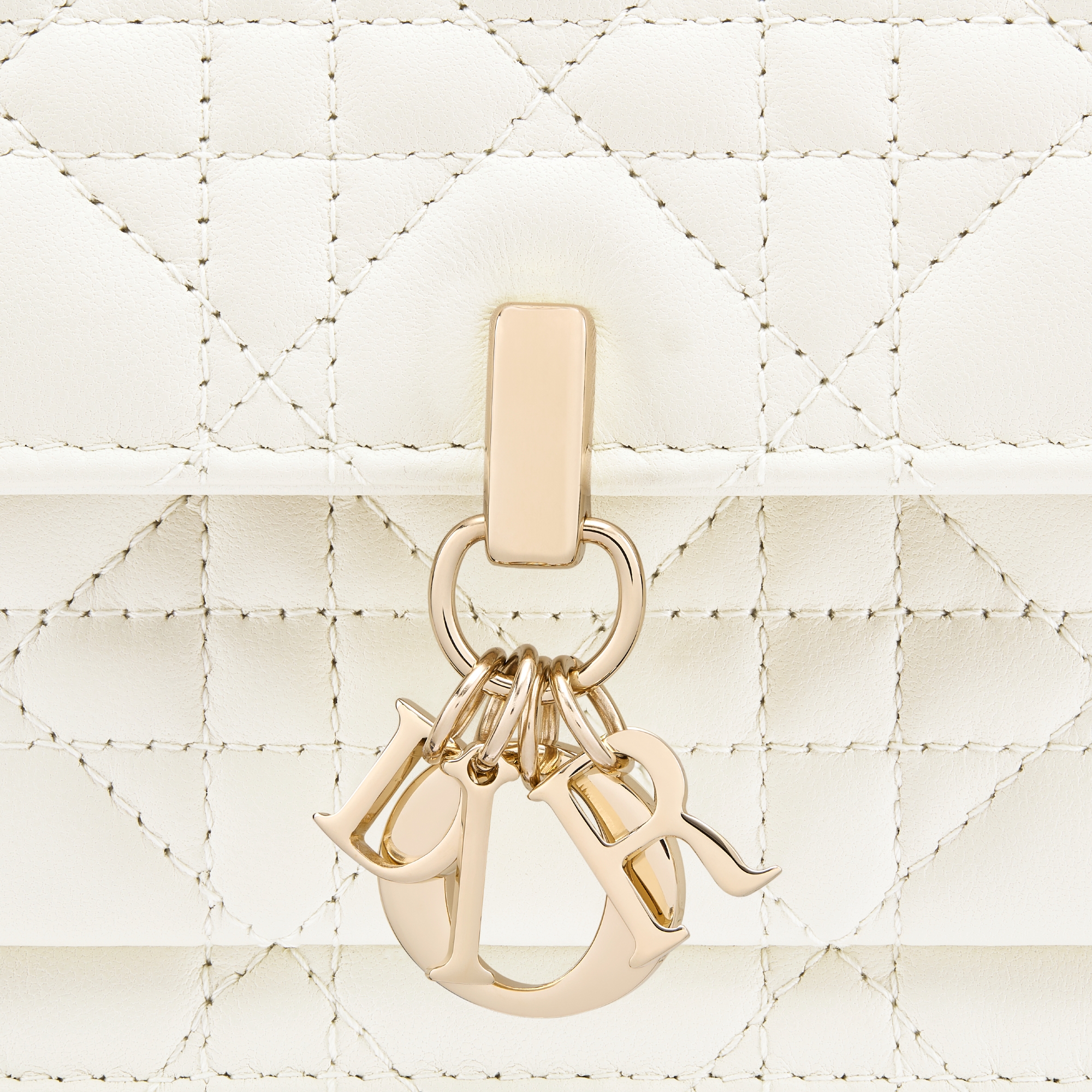 My Dior Daily Pouch with Chain