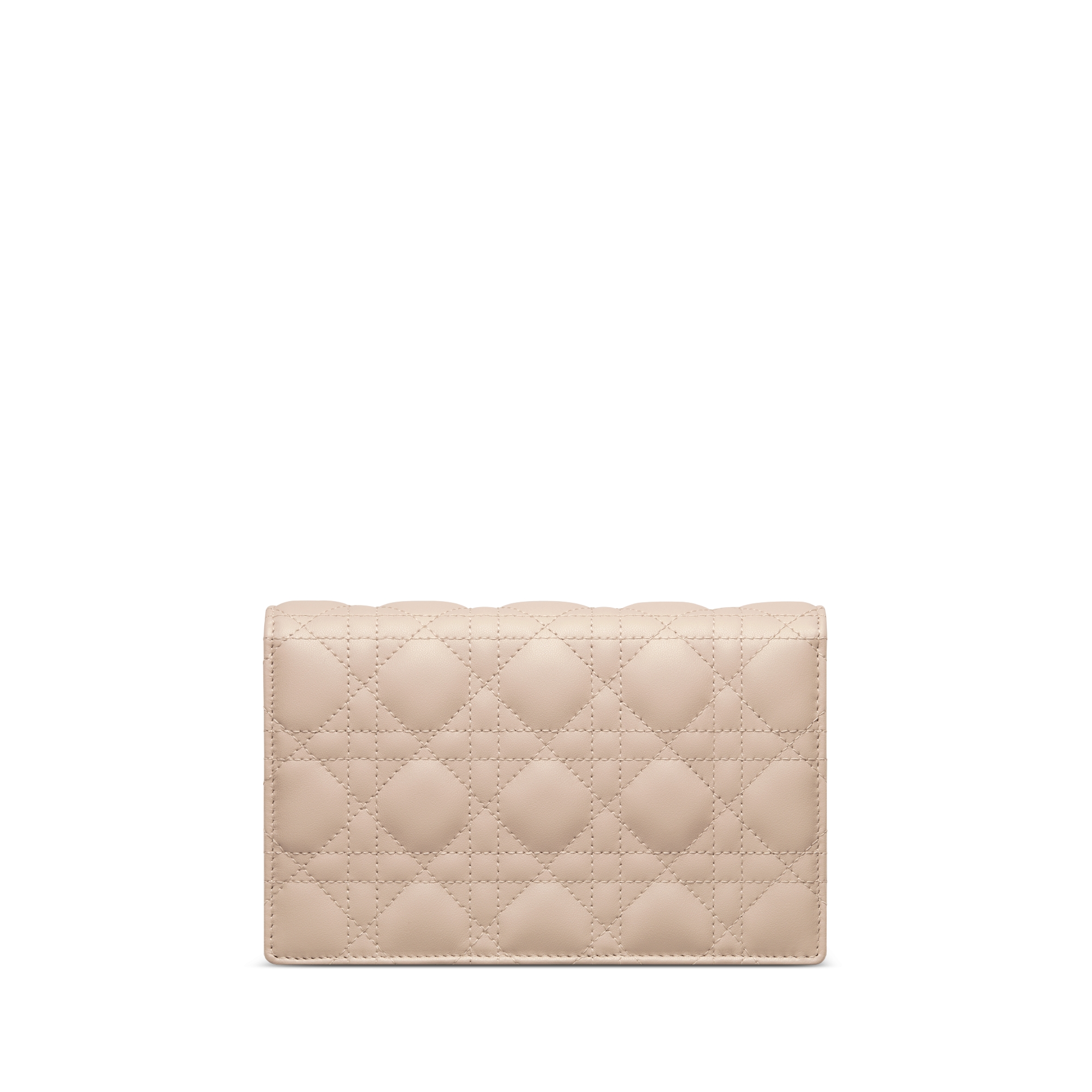 My Dior Daily Pouch with Chain