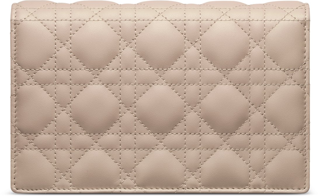My Dior Daily Pouch with Chain Back view