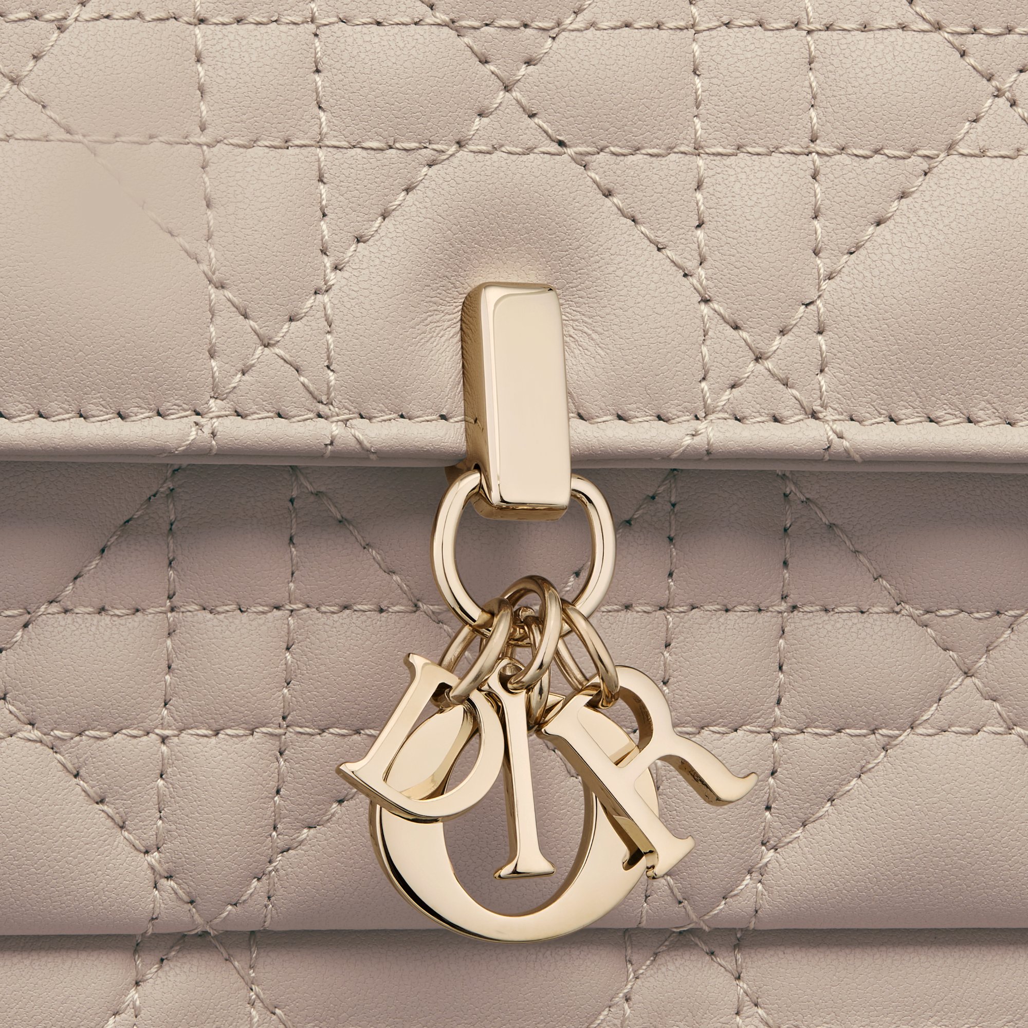My Dior Daily Pouch with Chain Detailed view