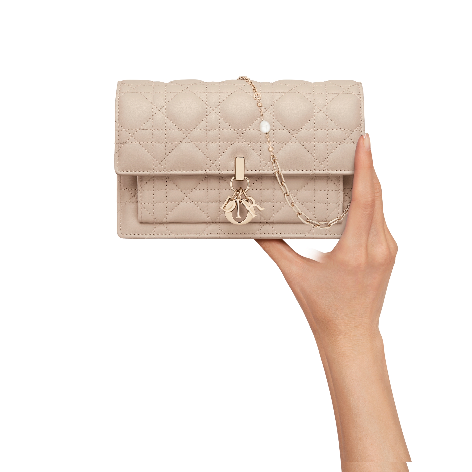 My Dior Daily Pouch with Chain