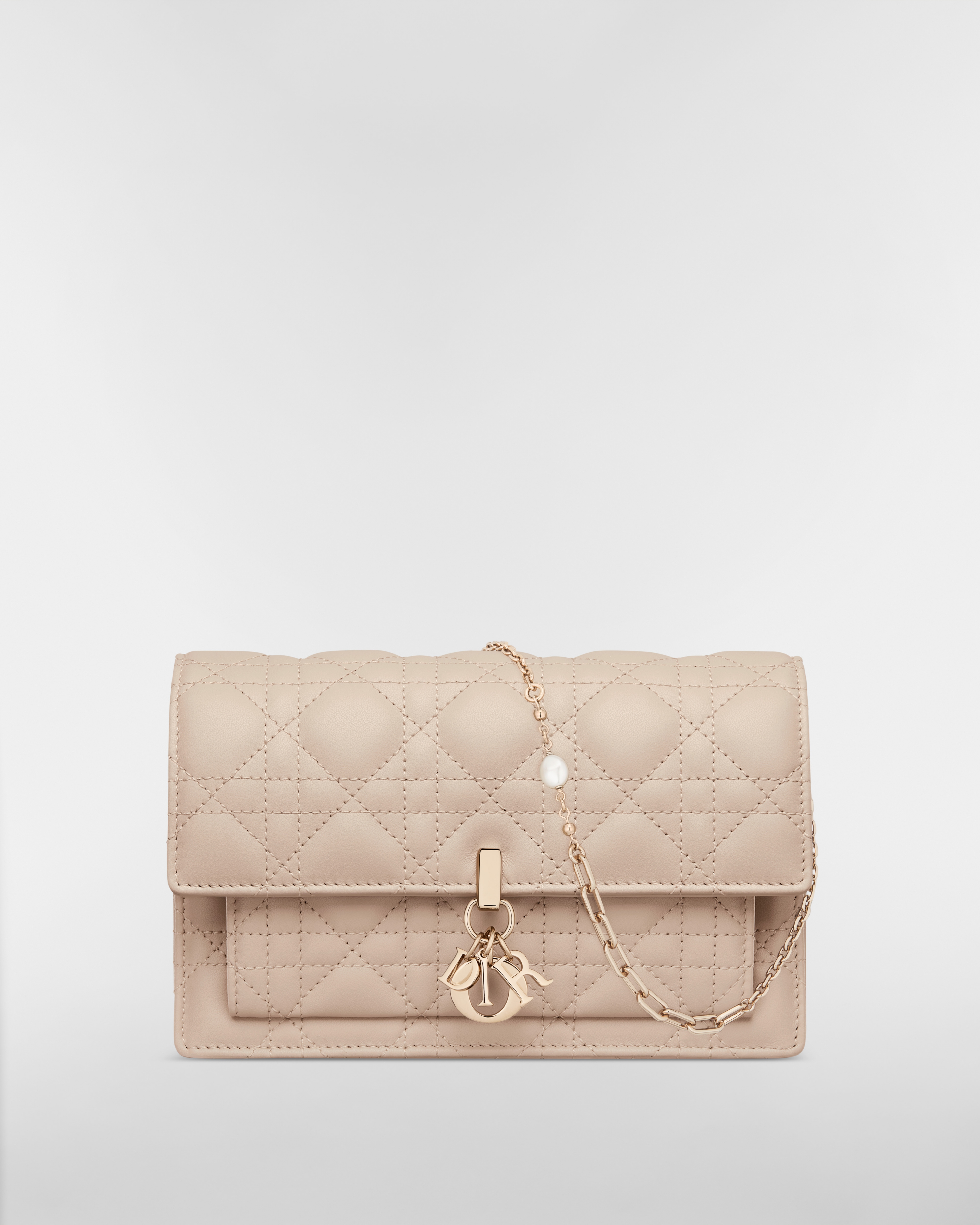My Dior Daily Pouch with Chain
