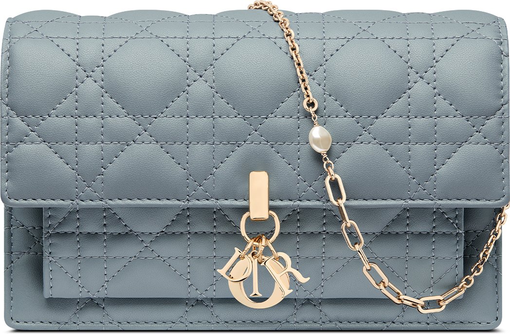 Dior bag wallet on chain shop
