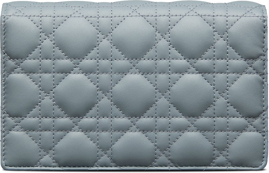 My Dior Daily Pouch with Chain Back view