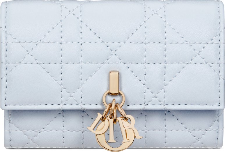 Cartera My Dior Glycine aria_frontView