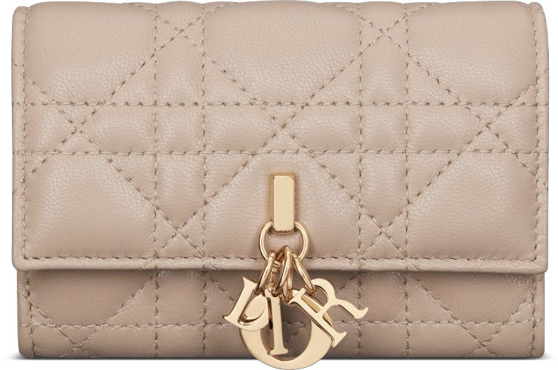 Cartera My Dior Glycine aria_frontView