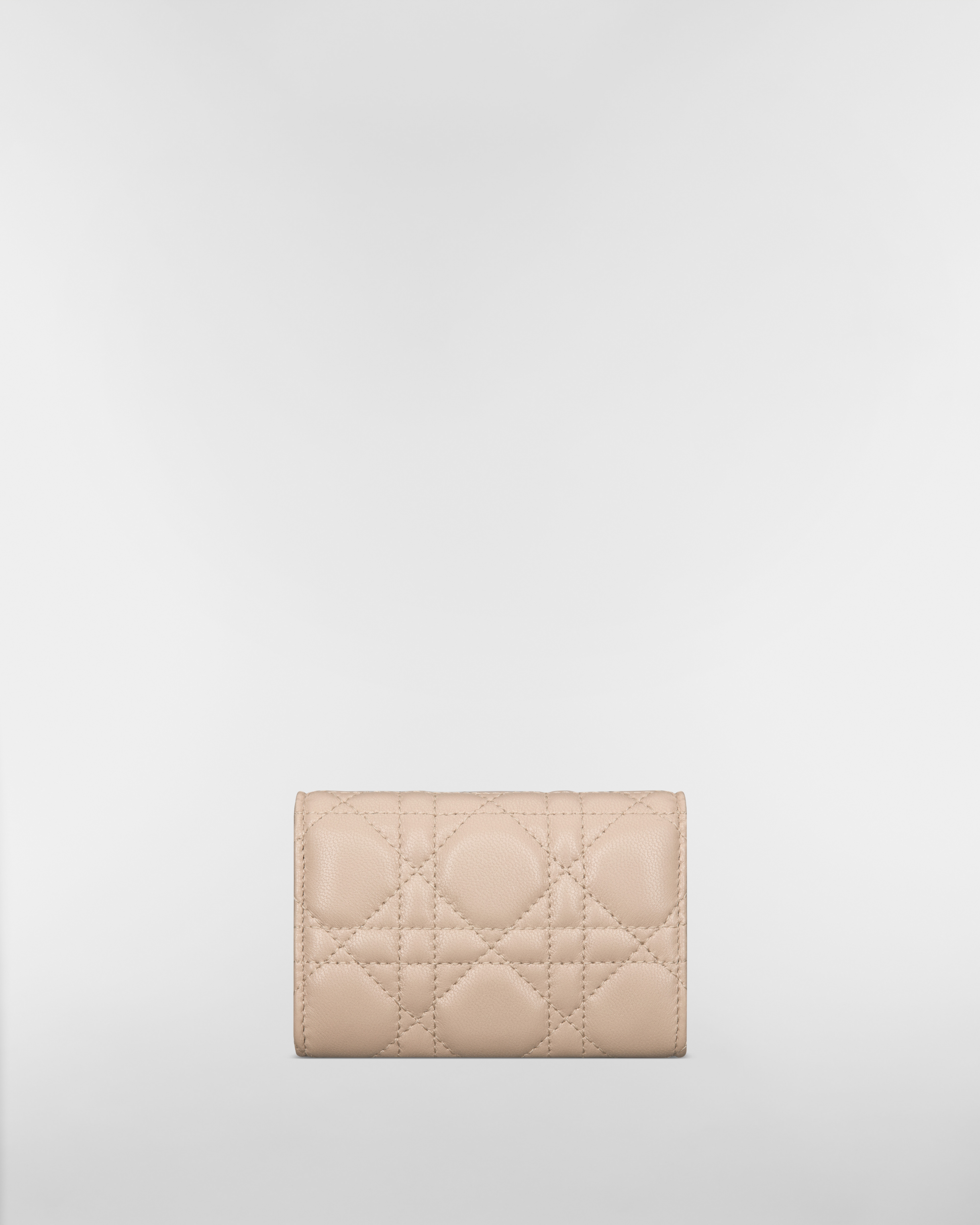 My Dior Glycine Wallet