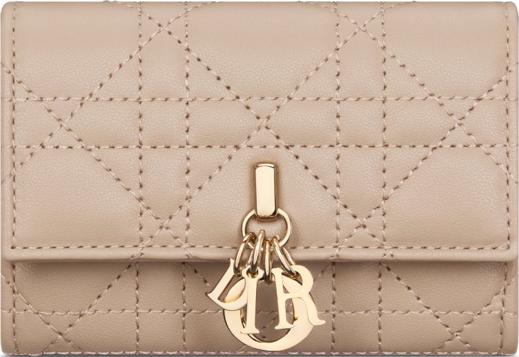 Cartera My Dior Glycine aria_frontView