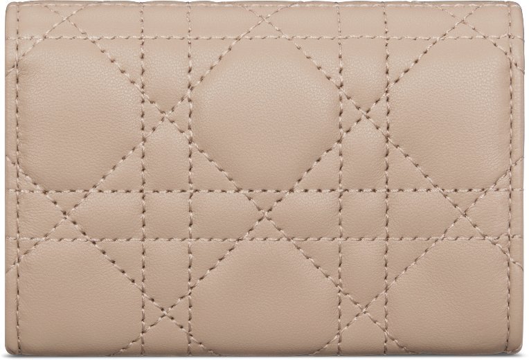 Cartera My Dior Glycine aria_backView