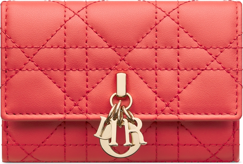 Dior red card holder best sale