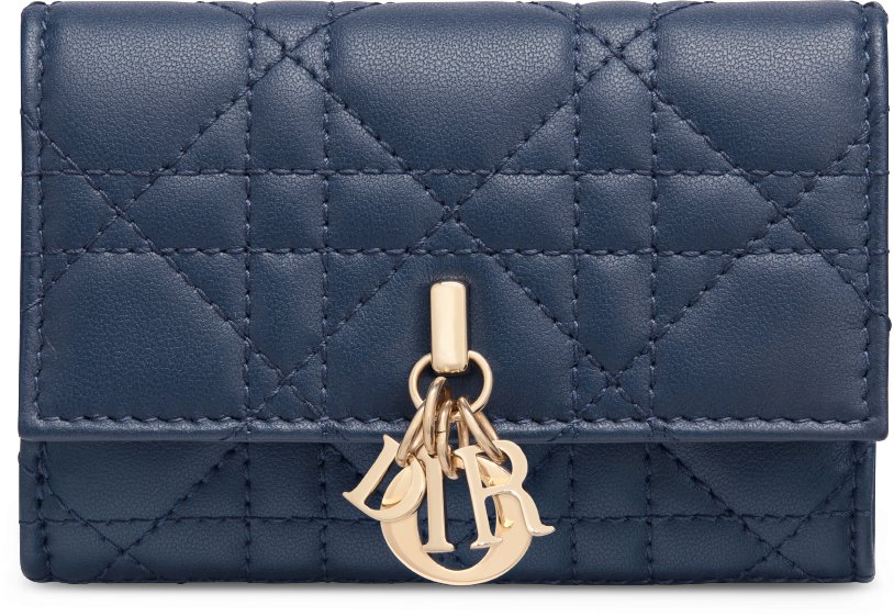 Cartera My Dior Glycine aria_frontView