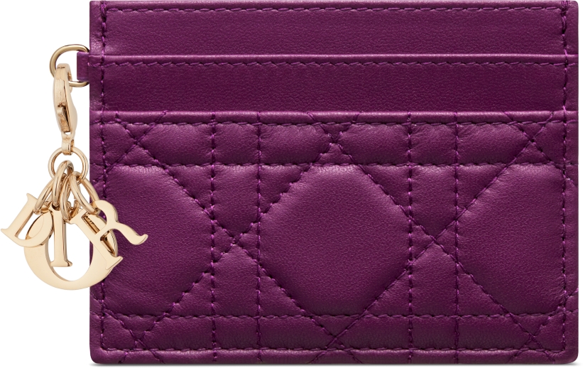 Christian dior atelier card holder best sale