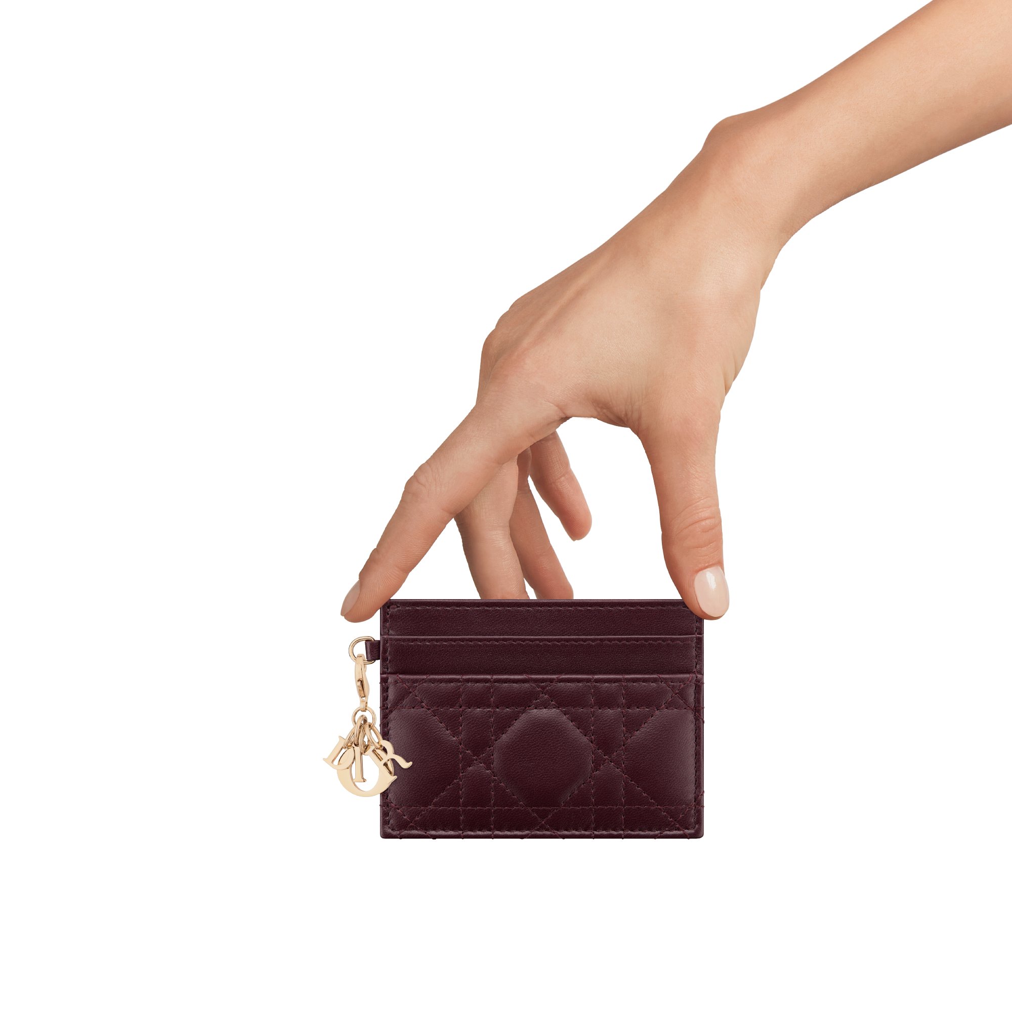 Portacarte Freesia Lady Dior aria_detailedView