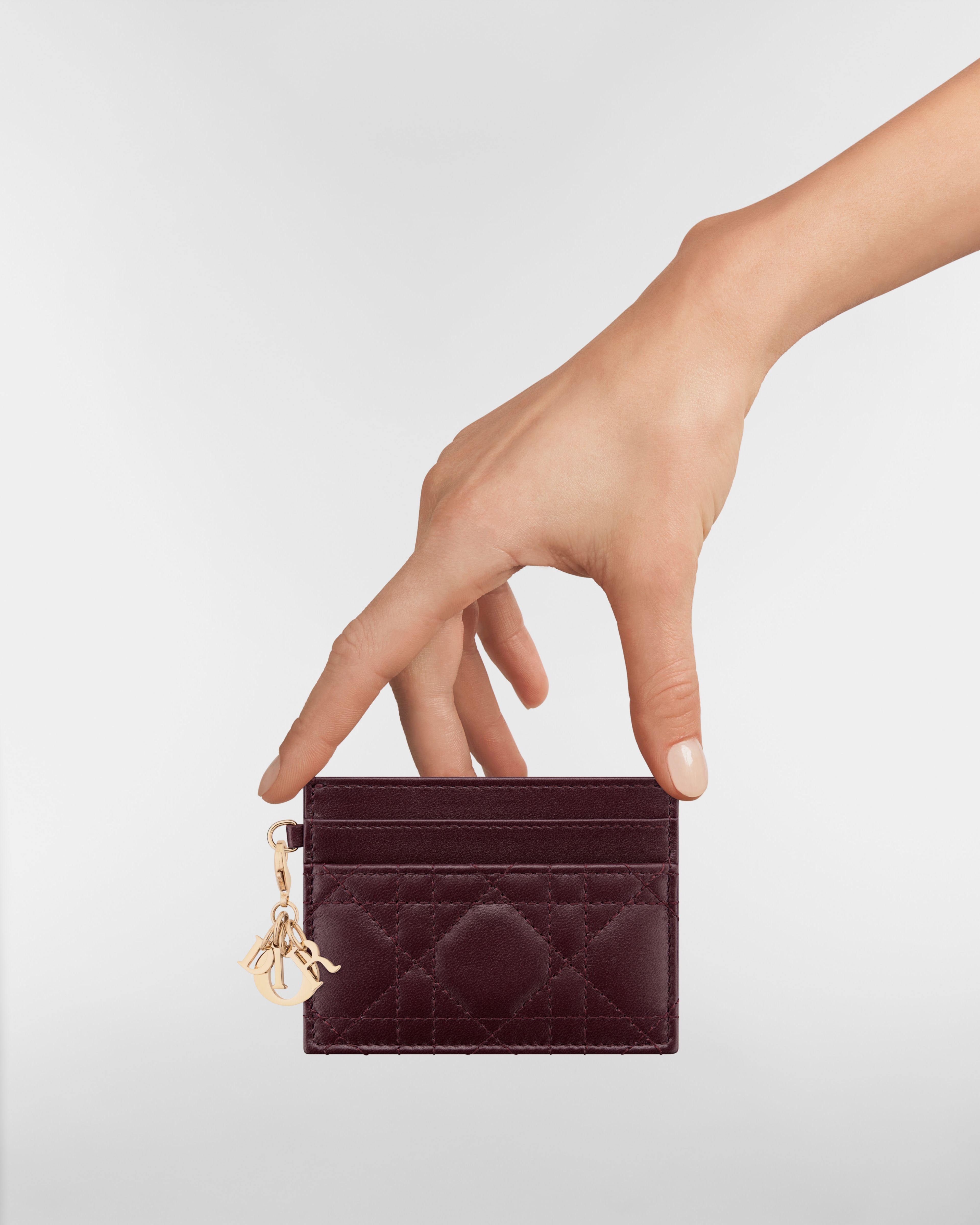 Lady Dior Freesia Card Holder