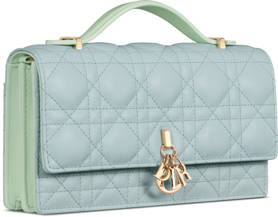 Lady dior double chain bag shop