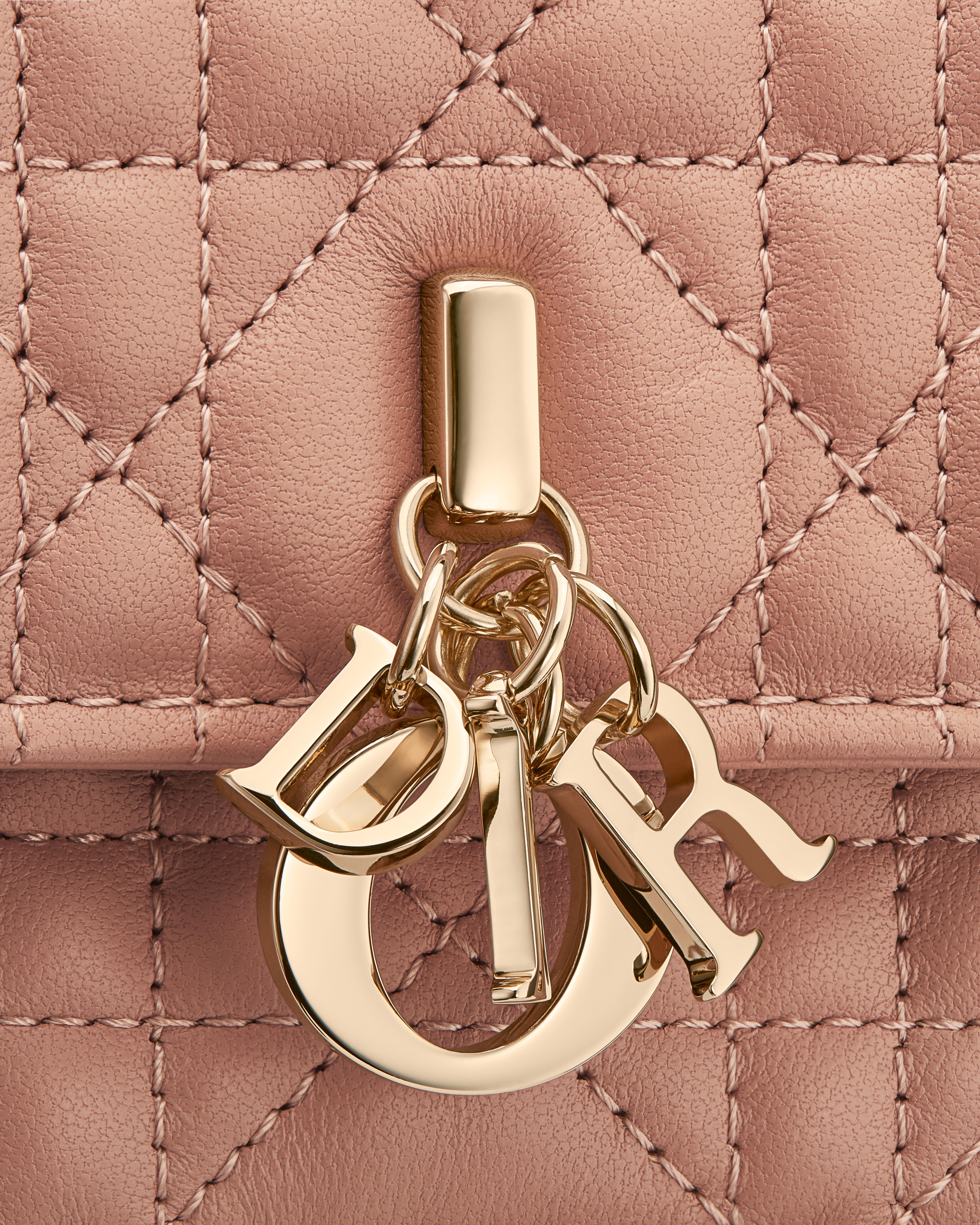 My Dior Mini Bag Rose des Vents Cannage Lambskin E09