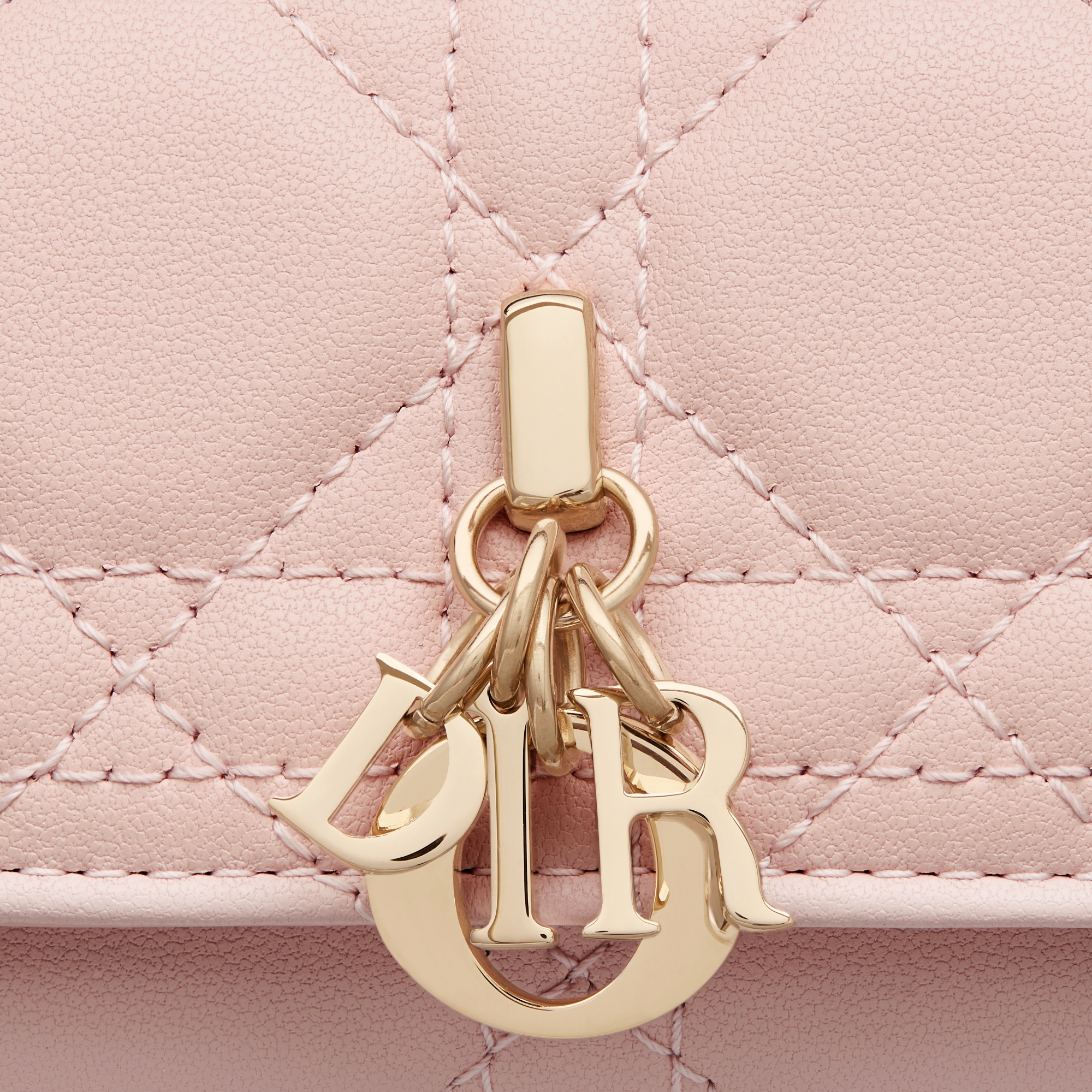 Dior Saddle Aster キーケース 【公式通販】